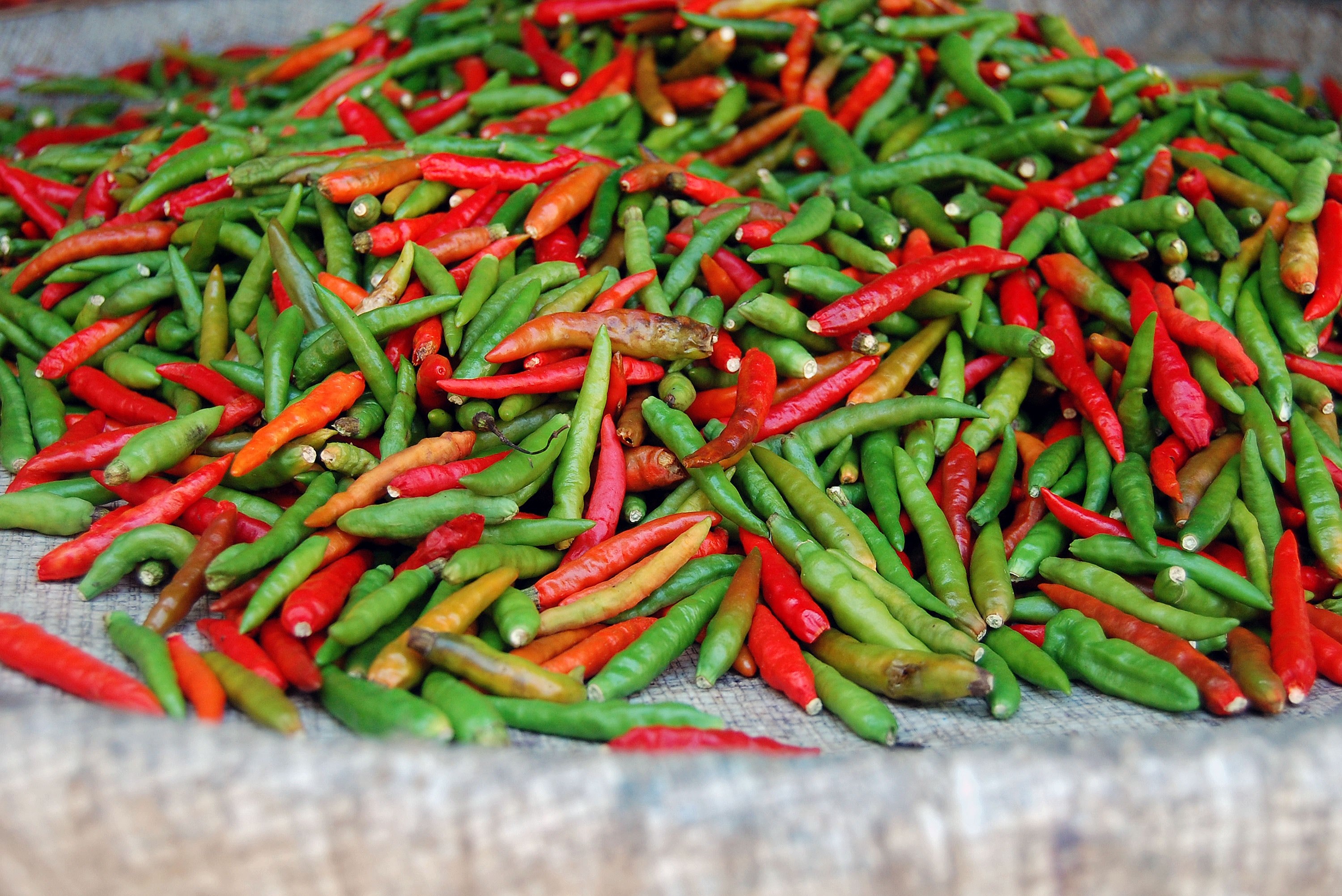 red and green chili peppers gathered in a cloth, green red hot 4k, HD Wallpaper