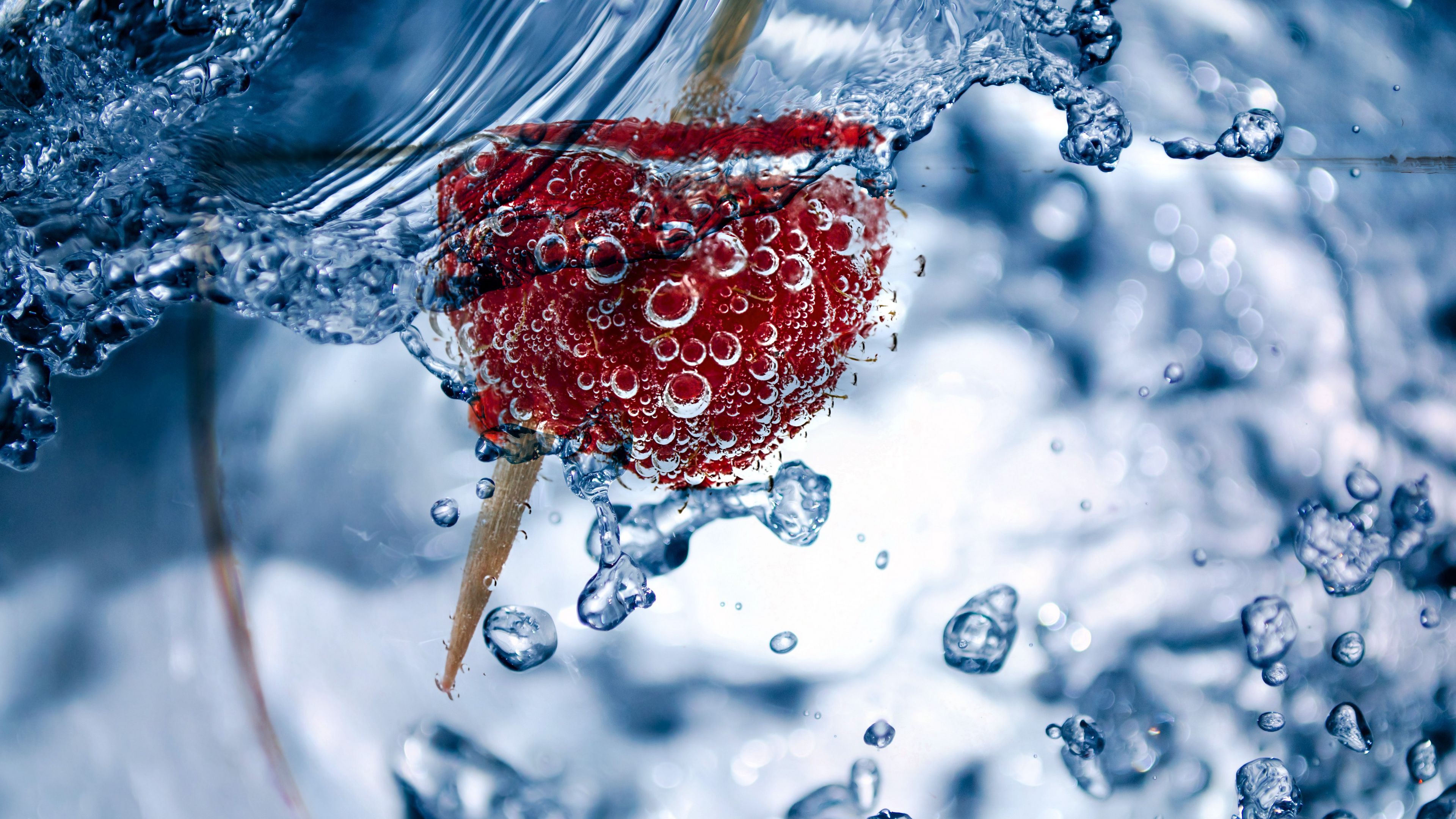 bubbles, raspberry, toothpick, close-up, 4k, HD Wallpaper