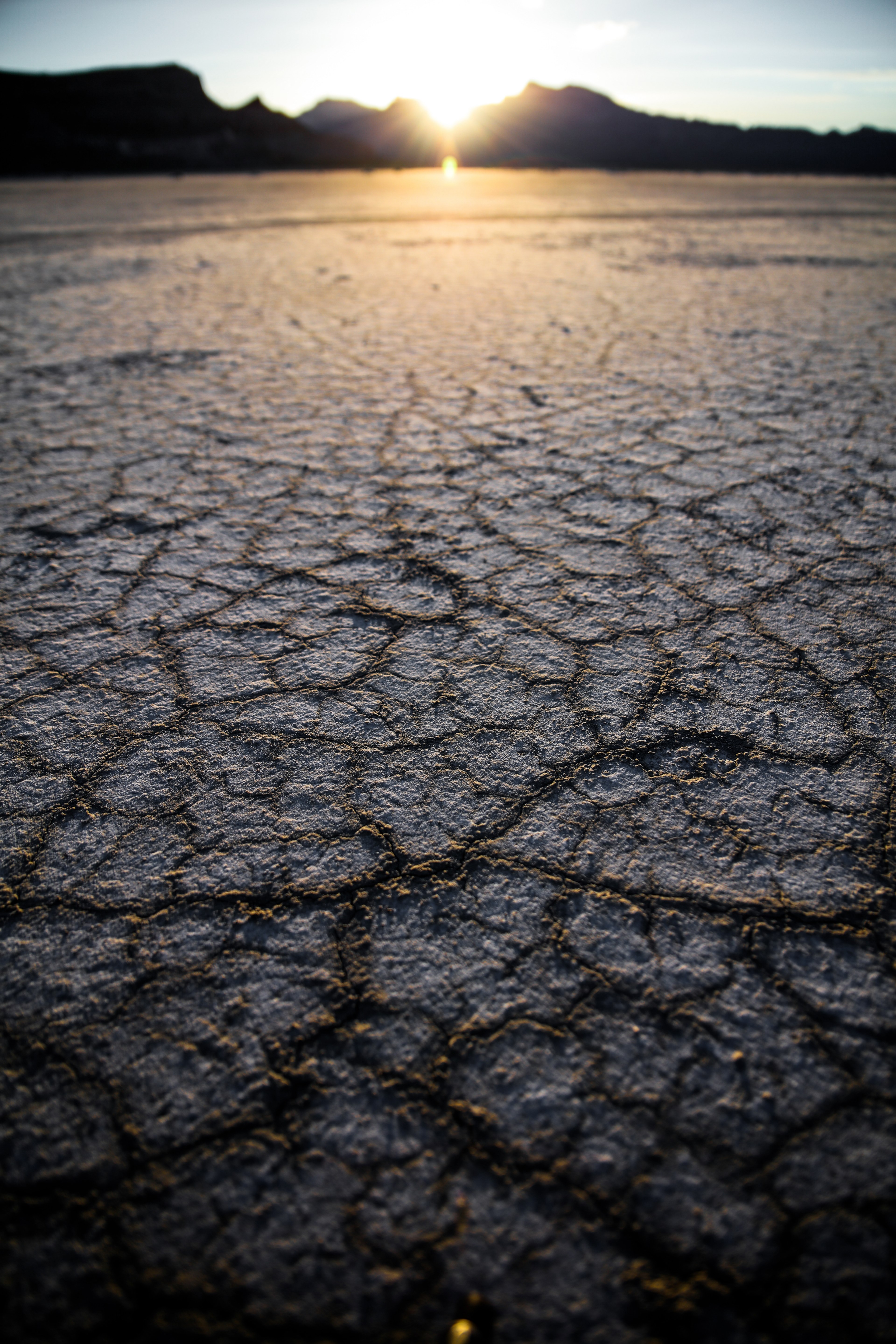 patrick hendry climate reality 4k, Phone HD Wallpaper