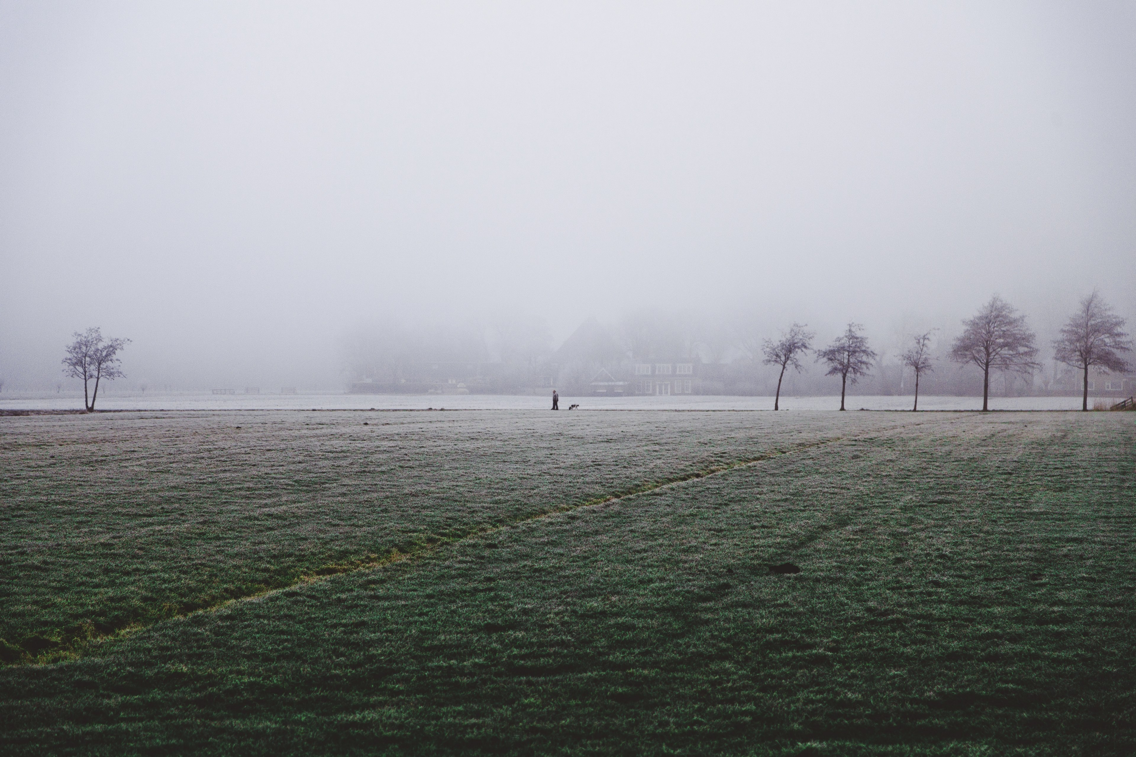 mist covers a rural field and bare trees in leeuwarden, feels lika a wwii scene_ 4k, HD Wallpaper