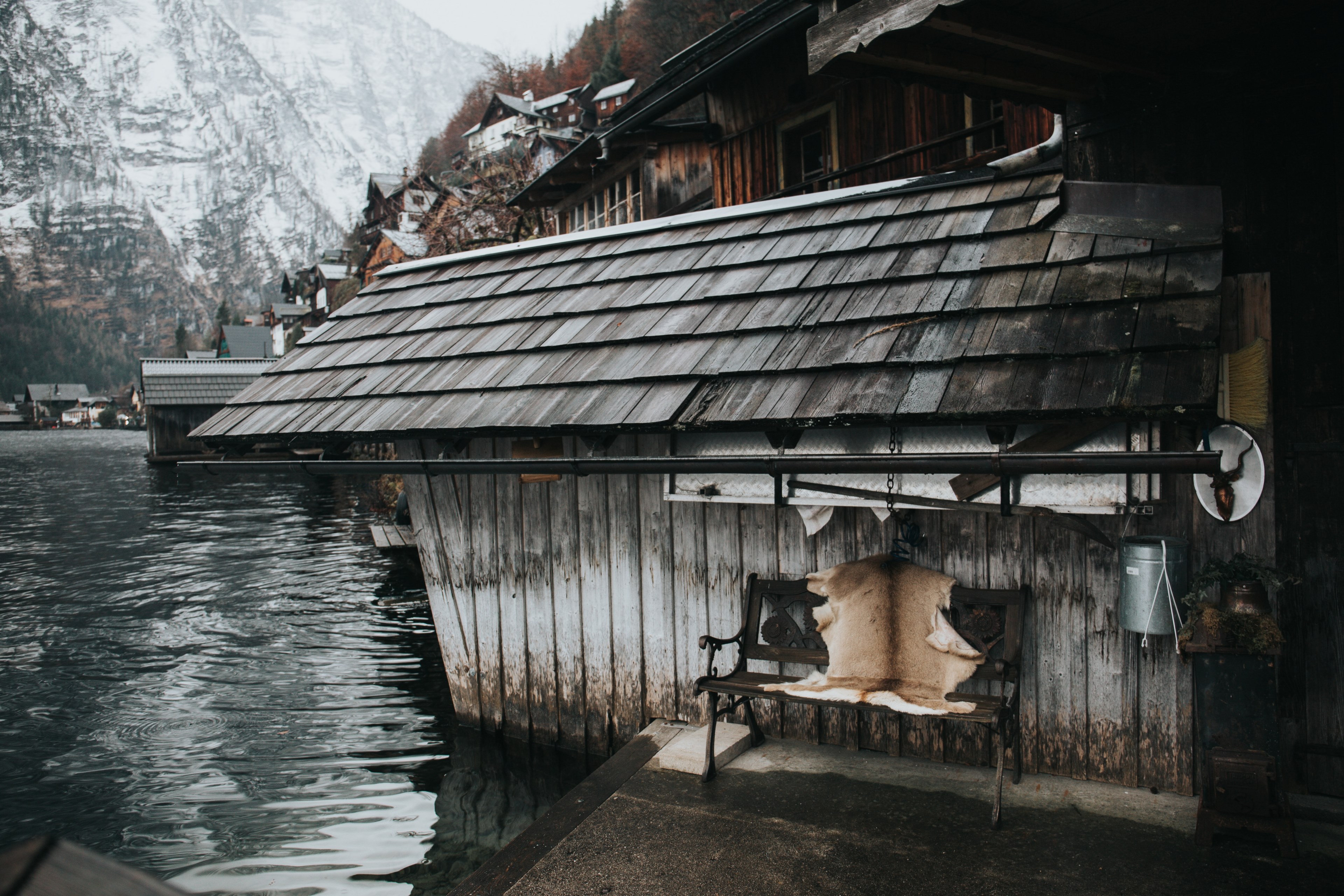 lakeside lake bench and animal skin 4k, HD Wallpaper