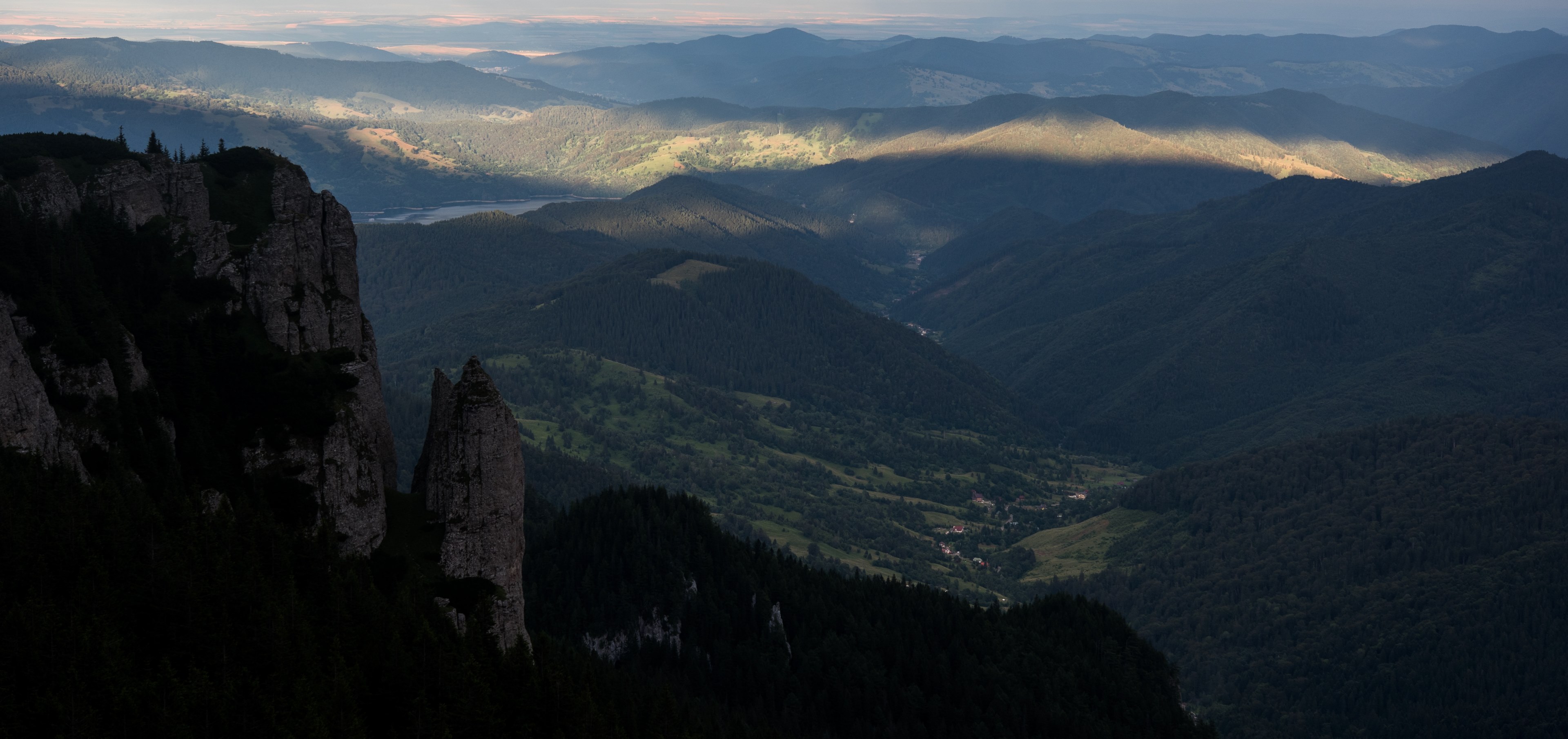 tree alp outdoor and rock 4k, HD Wallpaper