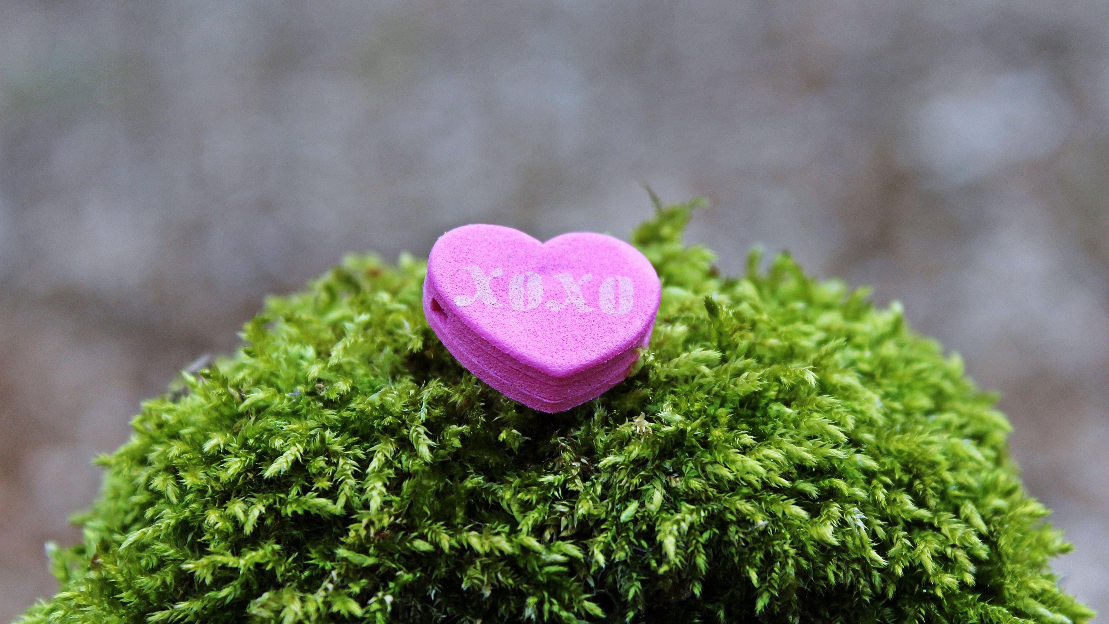 heart, inscription, love, pink, 4k, HD Wallpaper