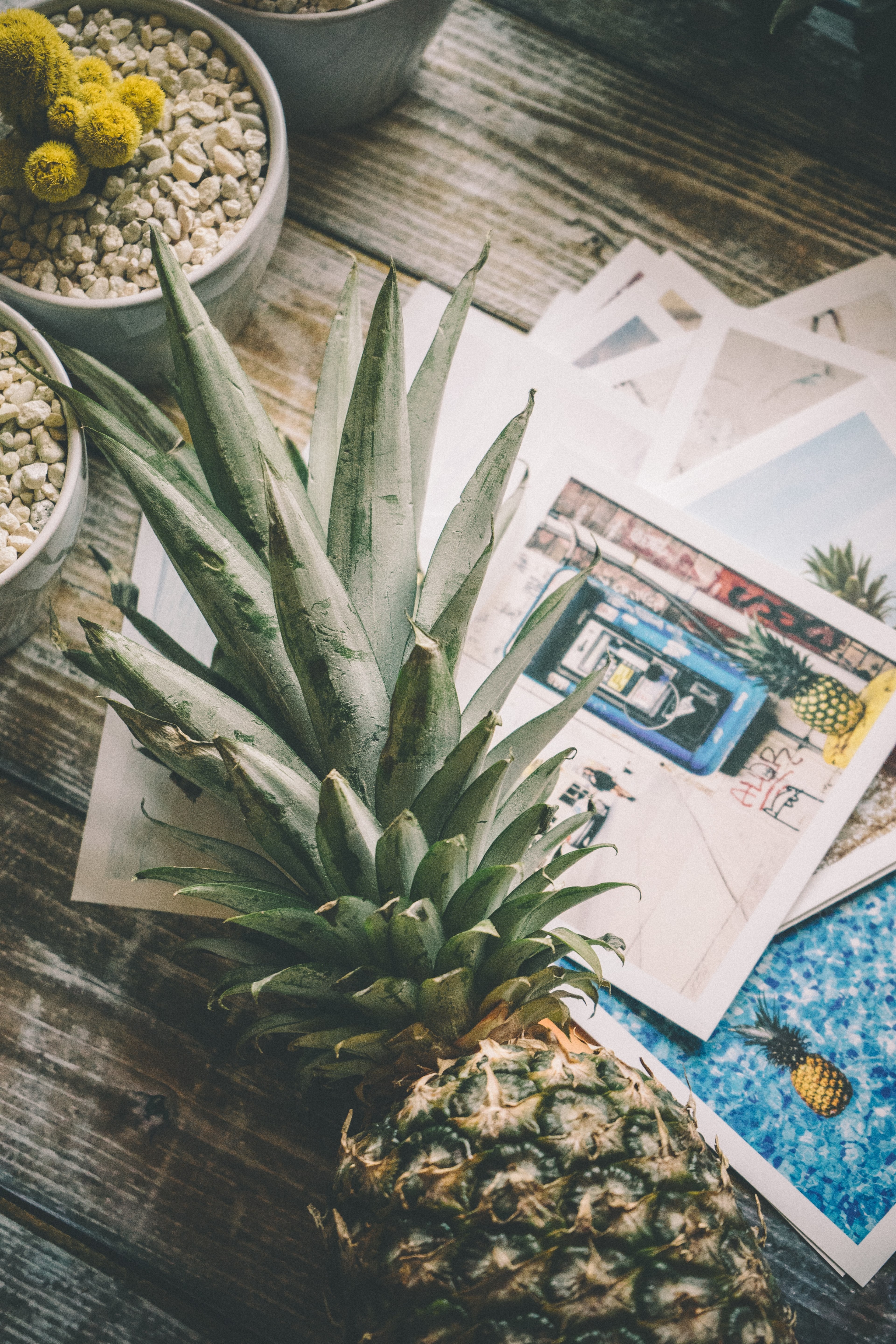 photography print tabletop and desktop hd, 4k, Phone HD Wallpaper