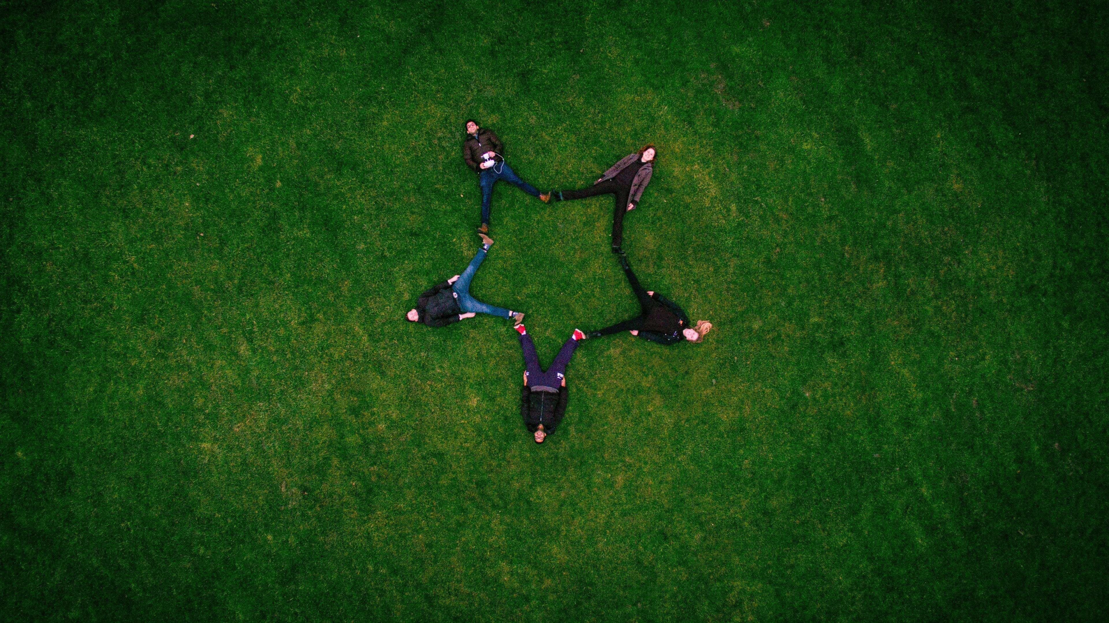 person star field and friend 4k, HD Wallpaper