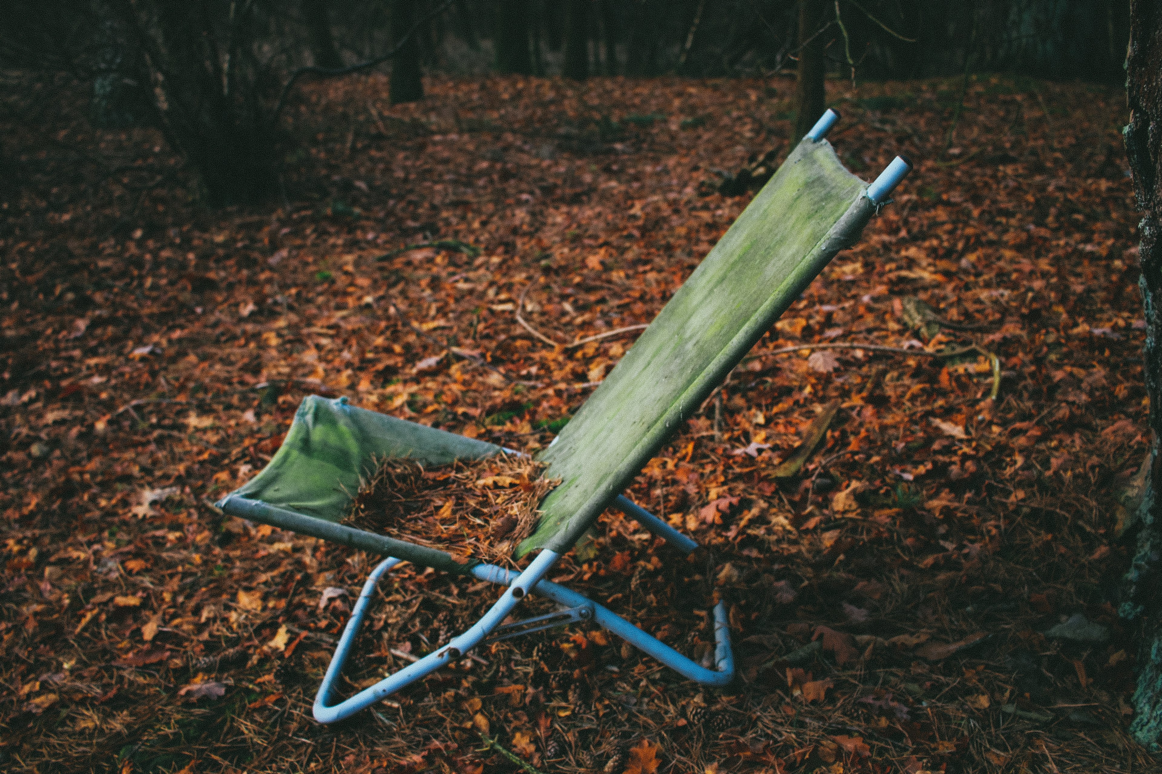 a large number of autumn leaves on an old deck chair in a forest, deck chair in an autumn forest 4k, HD Wallpaper