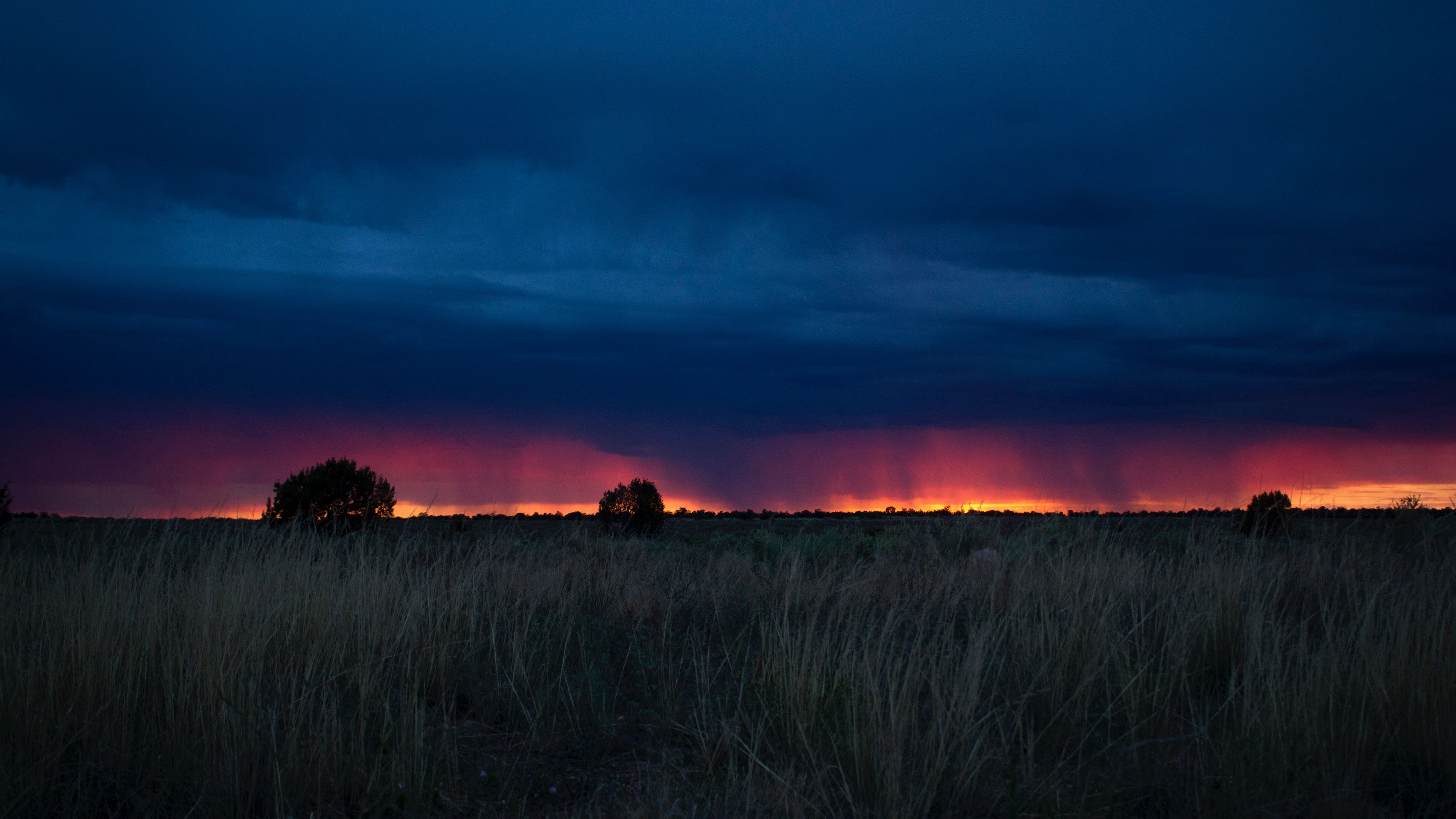 field, sunset, grass, clouds, 4k, HD Wallpaper
