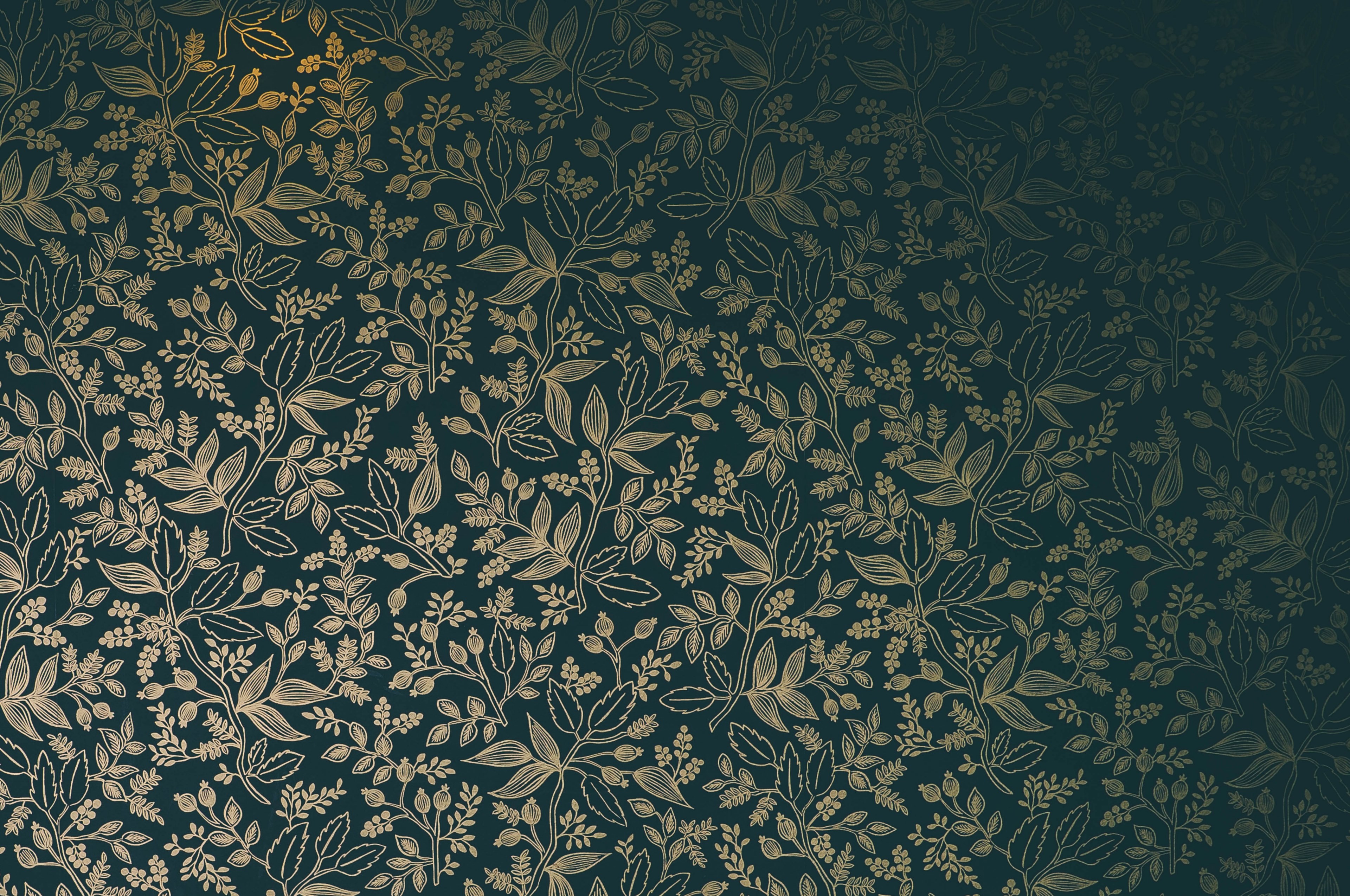 shadow plant vine and repeating 4k, HD Wallpaper