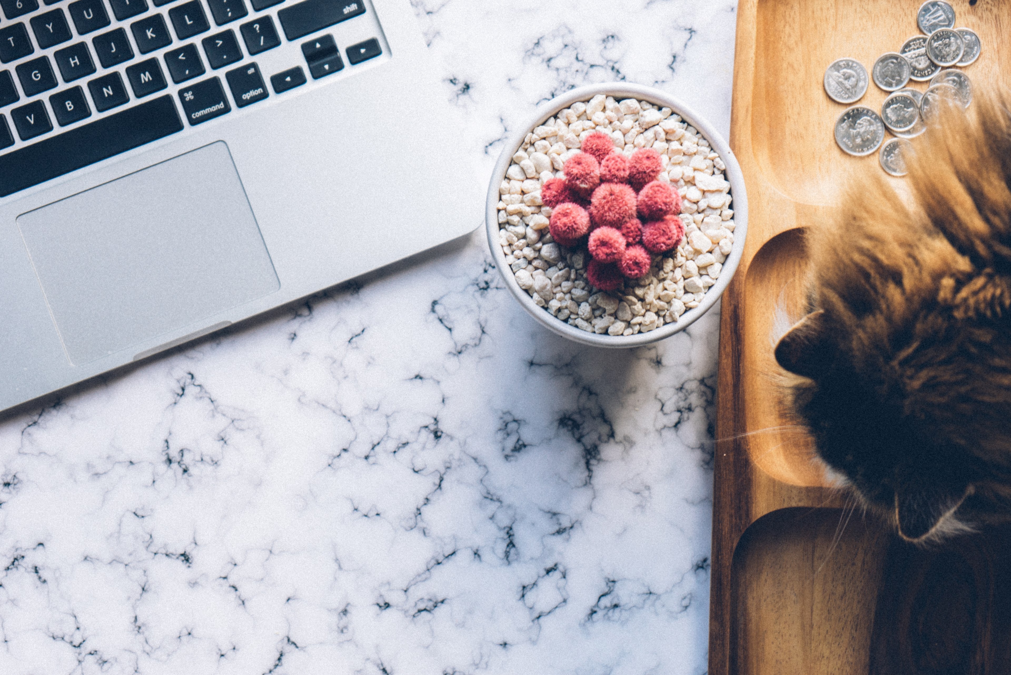 workspace desktop coin and change 4k, HD Wallpaper