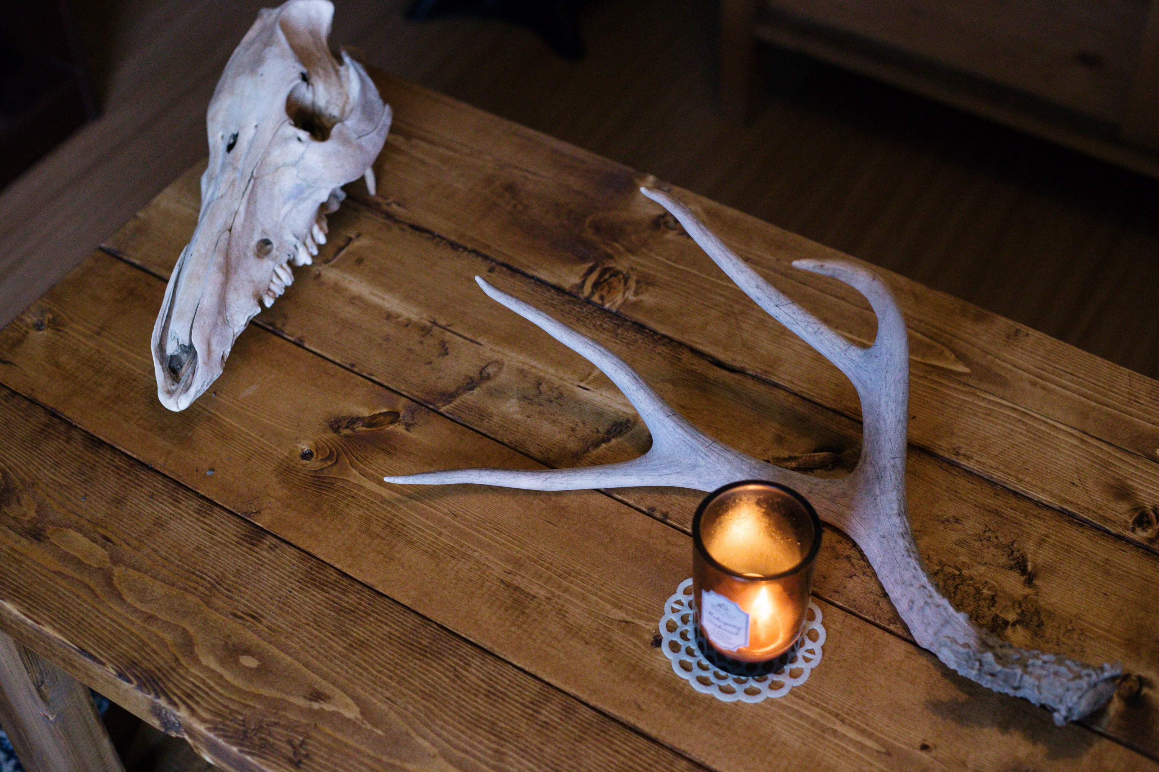 decoration decor skull and bone 4k, HD Wallpaper