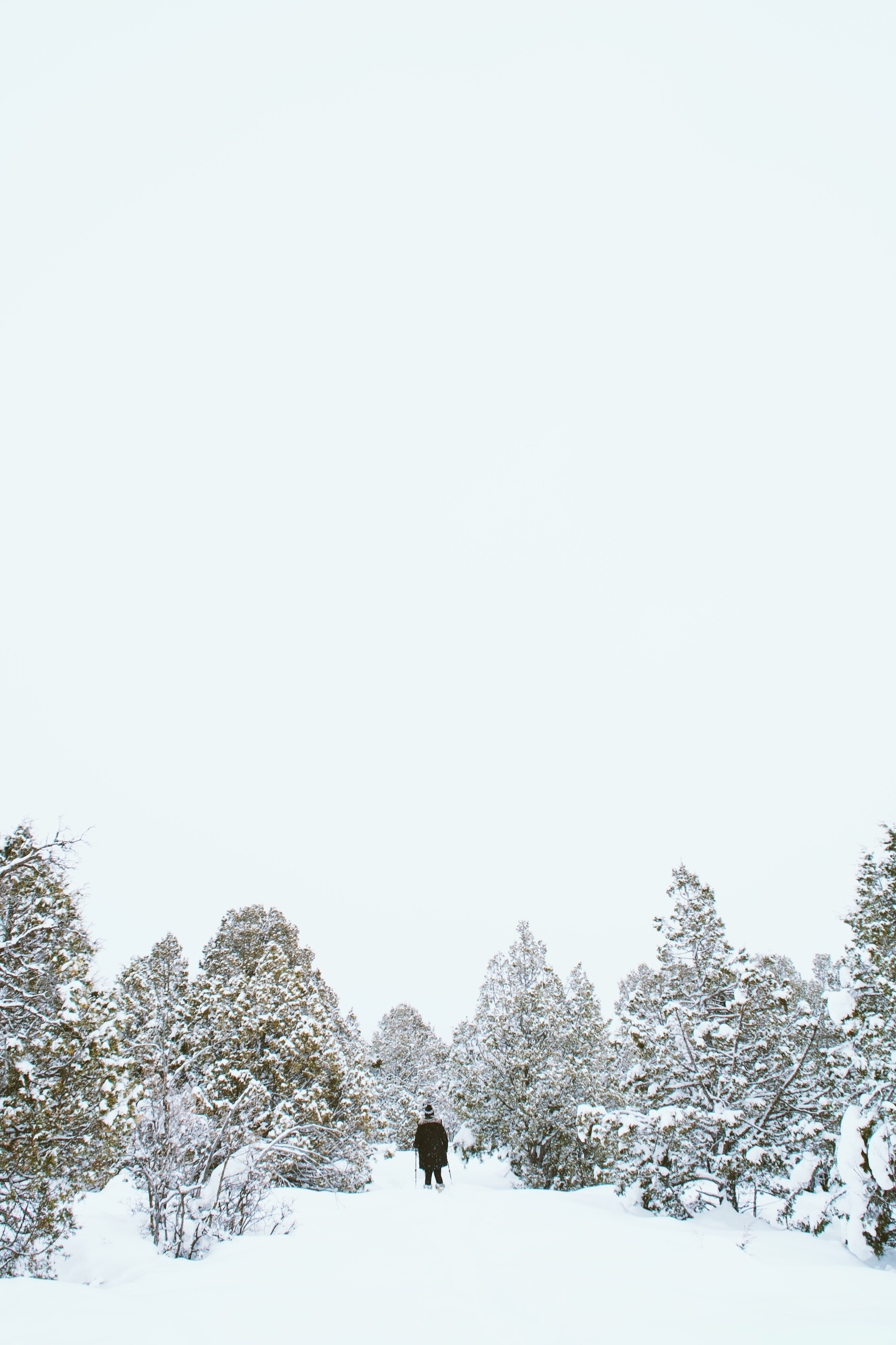 a person walking on snow among small trees in summit county, alone in the snow 4k, Phone HD Wallpaper