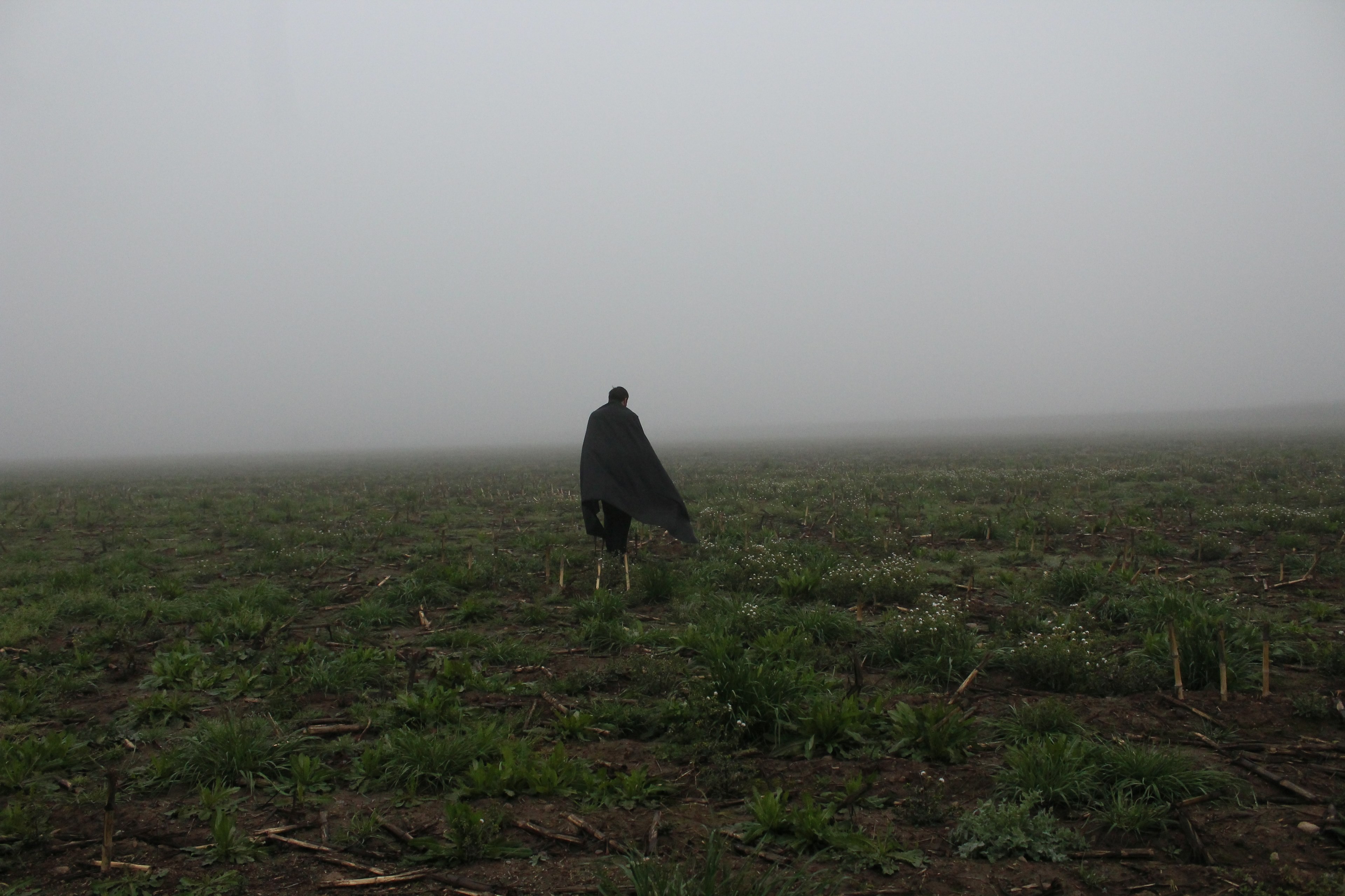 a person walking through a field, _walking field lane 4k, HD Wallpaper