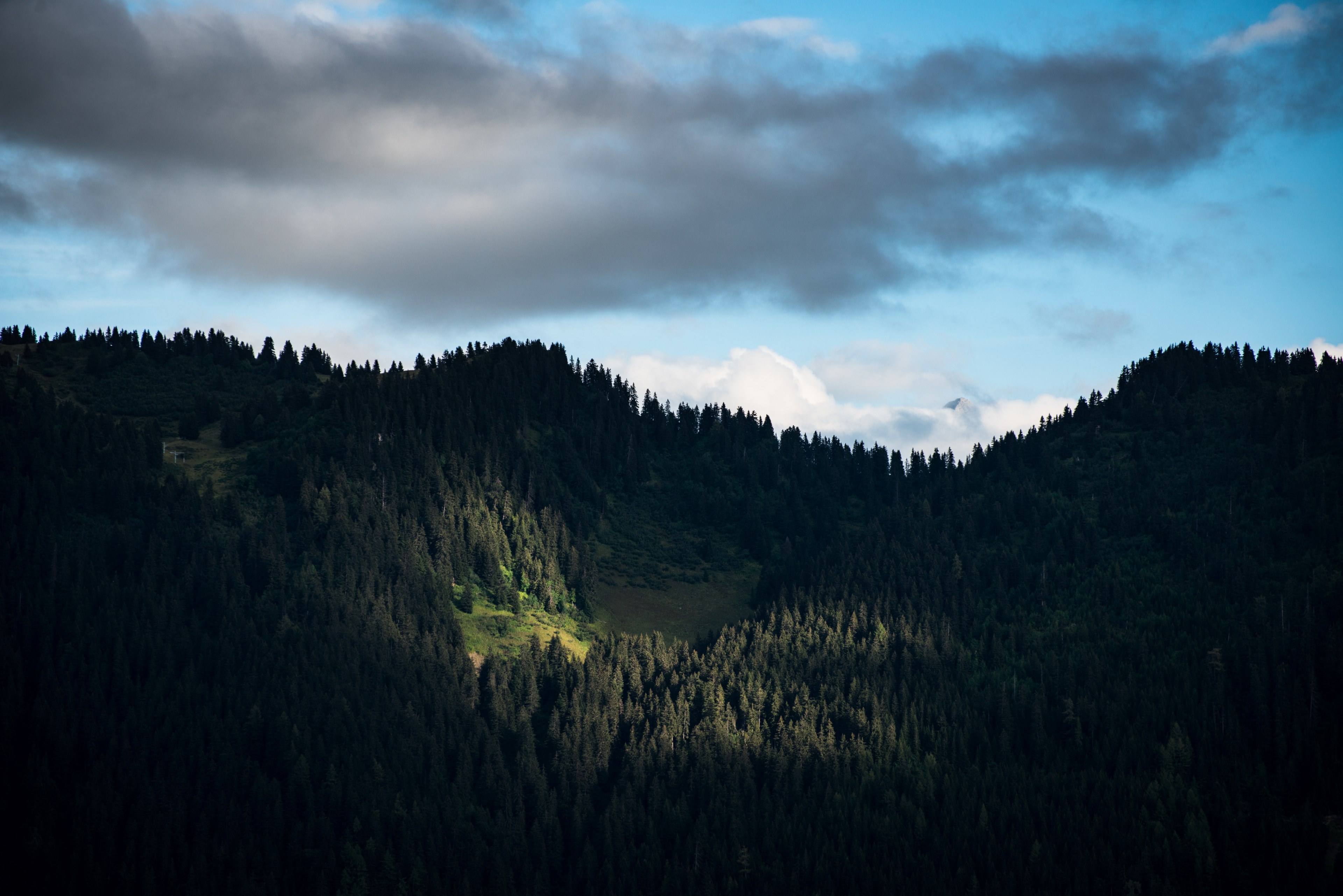 dark woods on mountain slopes in leysin, forest clearing on a hill 4k, HD Wallpaper