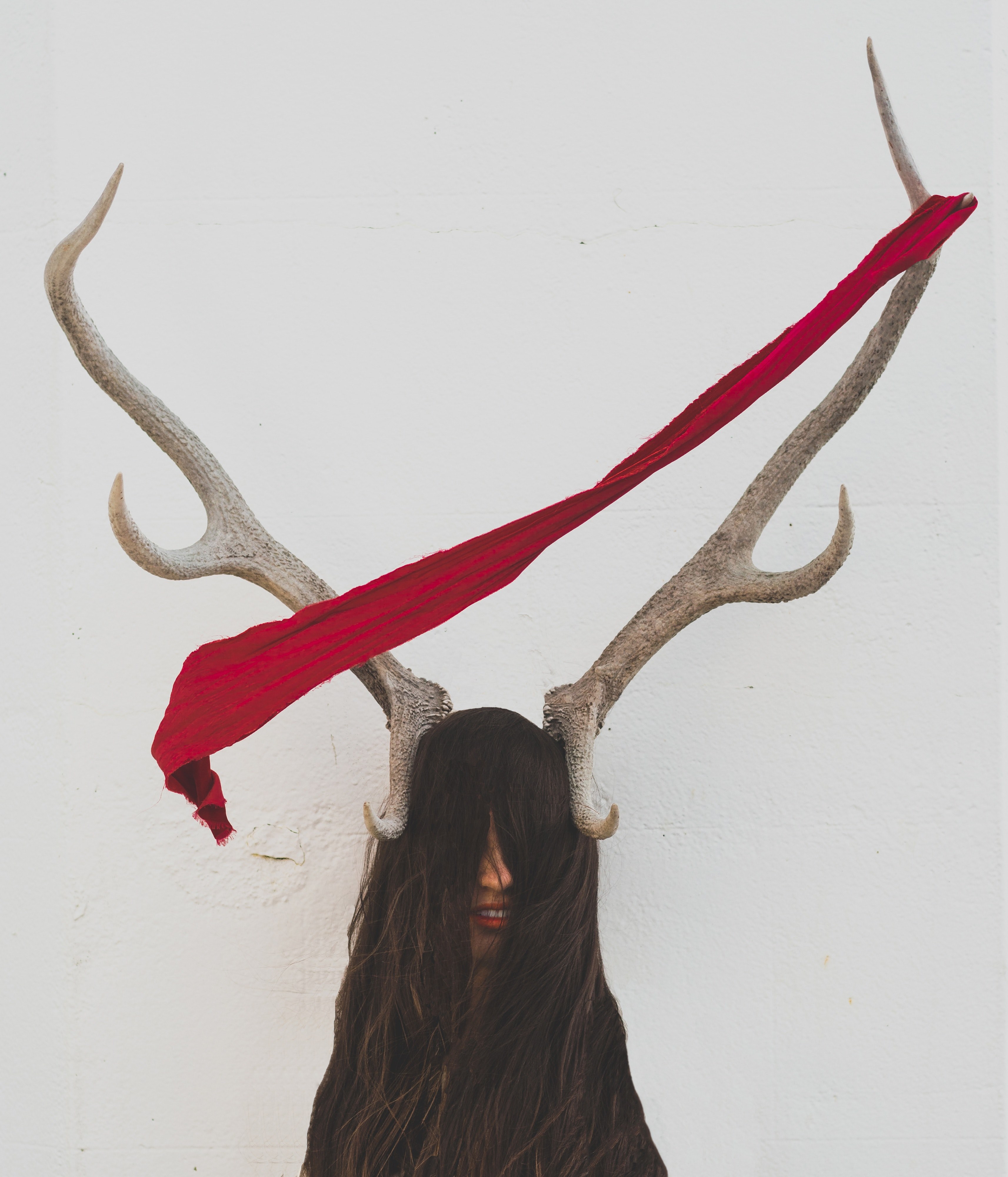 a piece of red fabric on a deers antlers, _red fabric antlers 4k, Phone HD Wallpaper