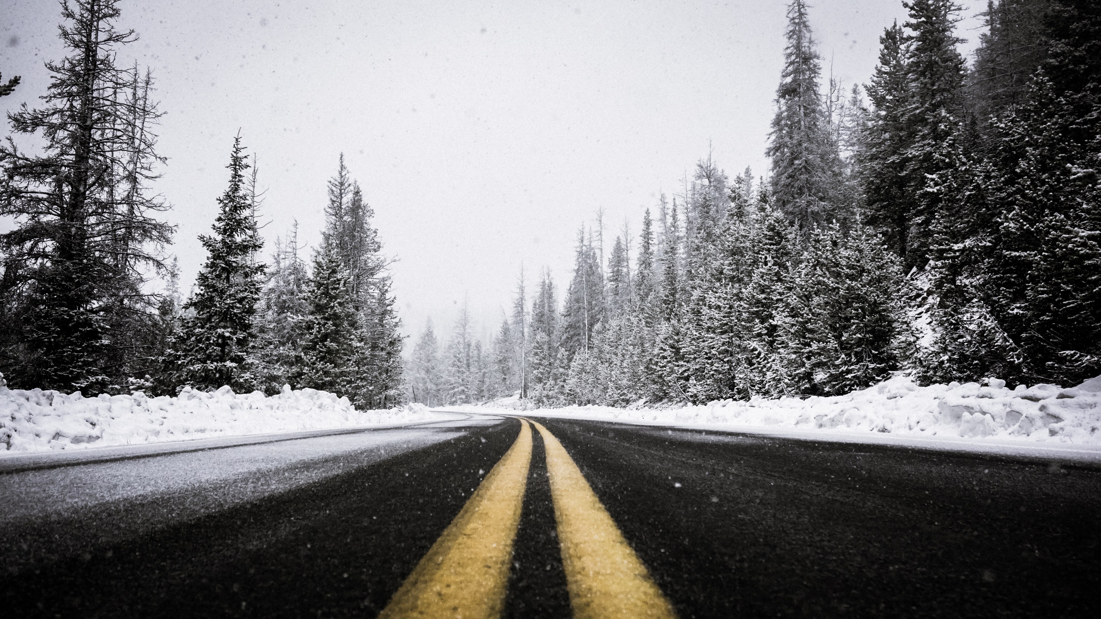 a blacktop road in a forest during snowfall yellow traffic lines are painted crisply in the center, road in snowy forest 4k, HD Wallpaper