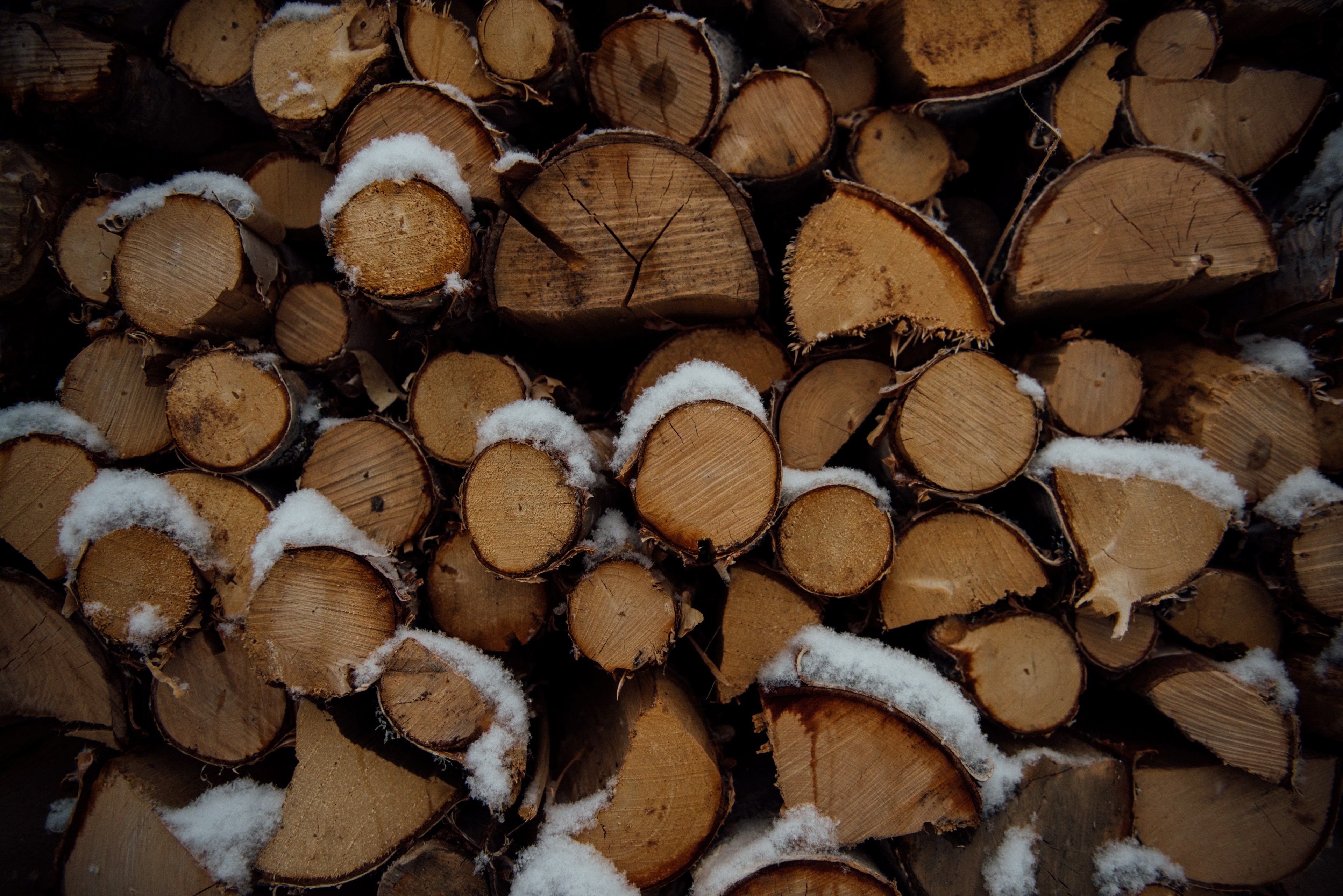 a pile of firewood covered in a thin layer of snow, firewood in the winter 4k, HD Wallpaper