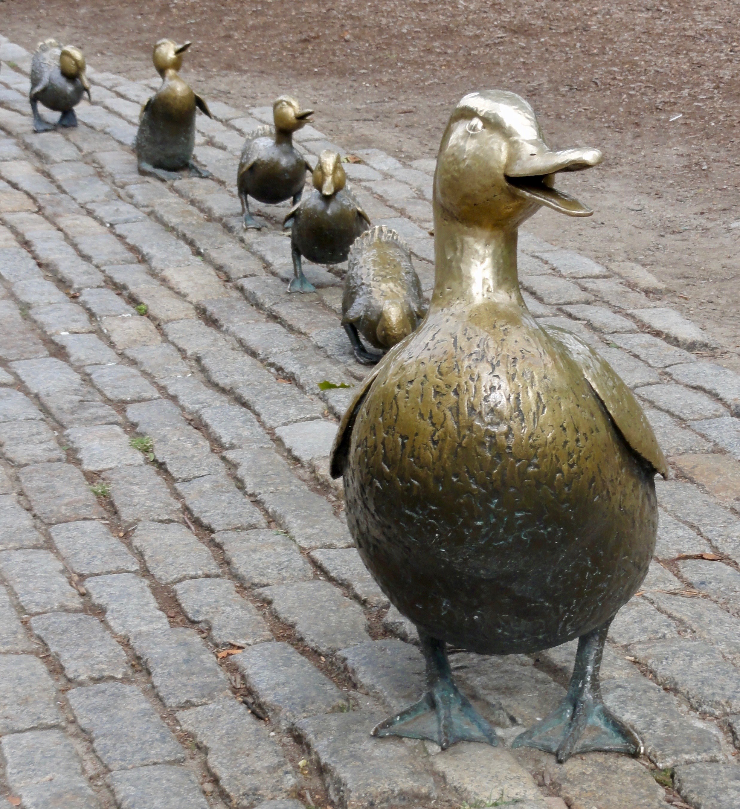 duck book make way for duckling and boston garden hd, 4k, Phone HD Wallpaper