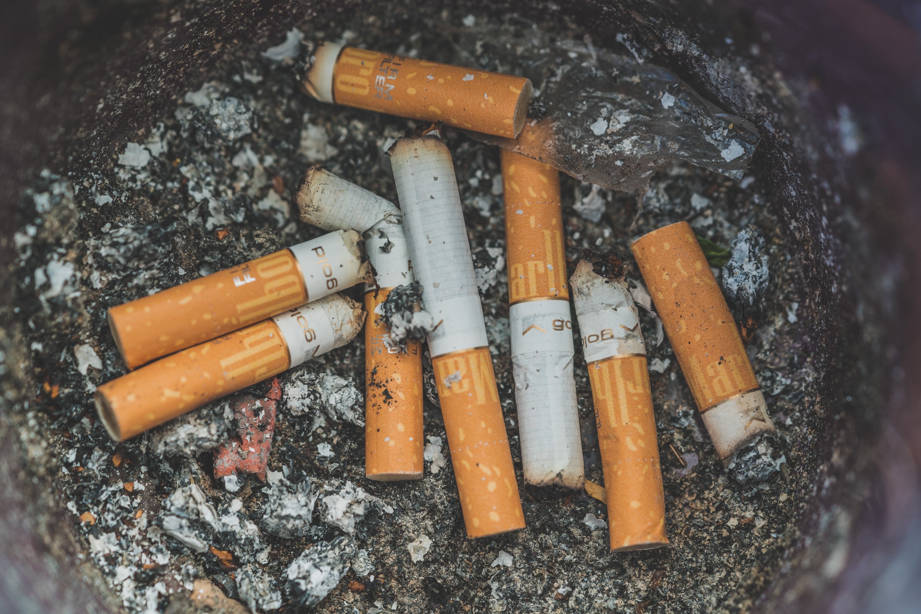 quit now you can die later 4k, HD Wallpaper