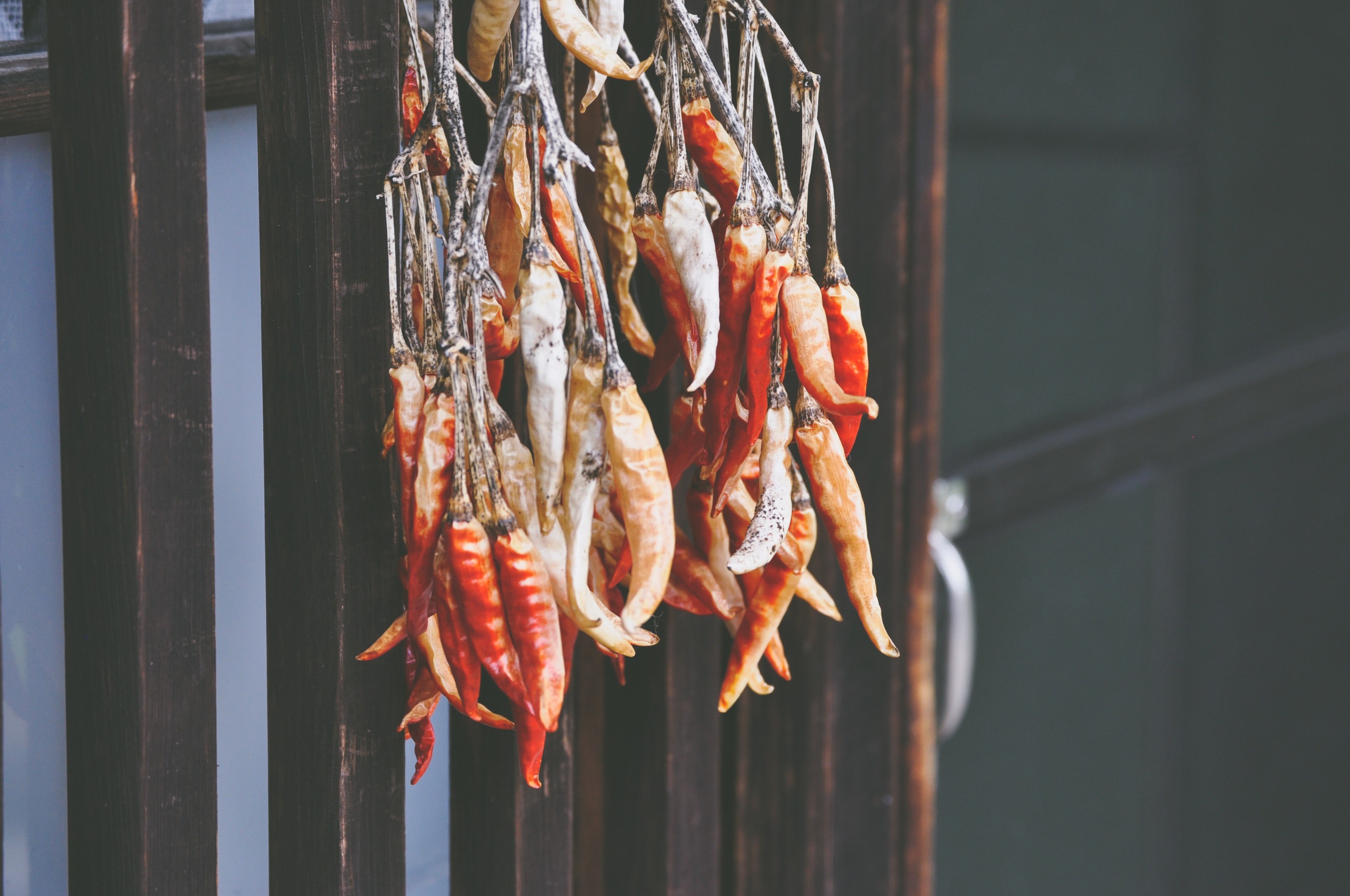 dried spicy chili peppers hanging in a market, dried spicy peppers 4k, HD Wallpaper