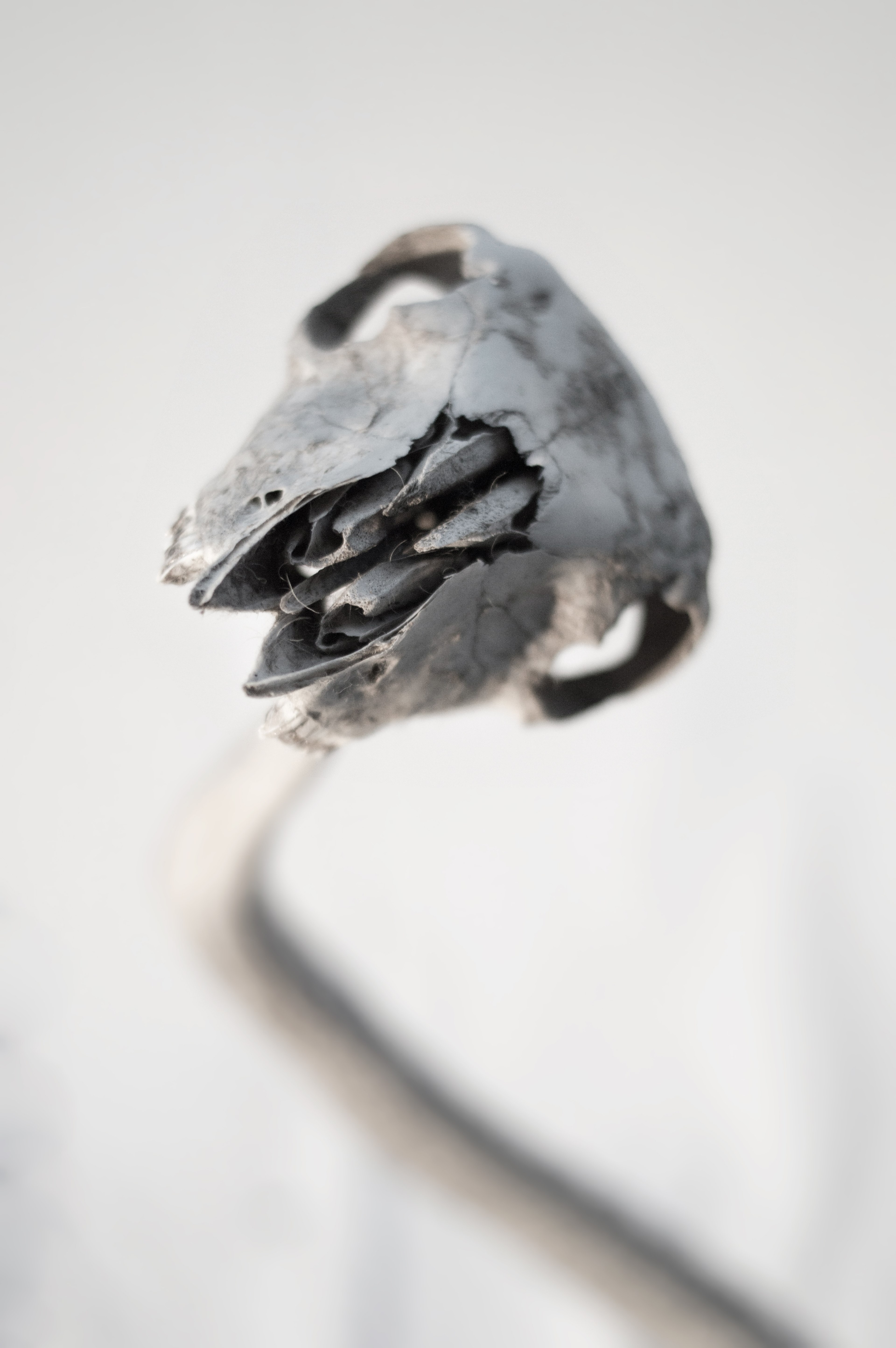 eerie twisted hipster and edgy hd, 4k, Phone HD Wallpaper