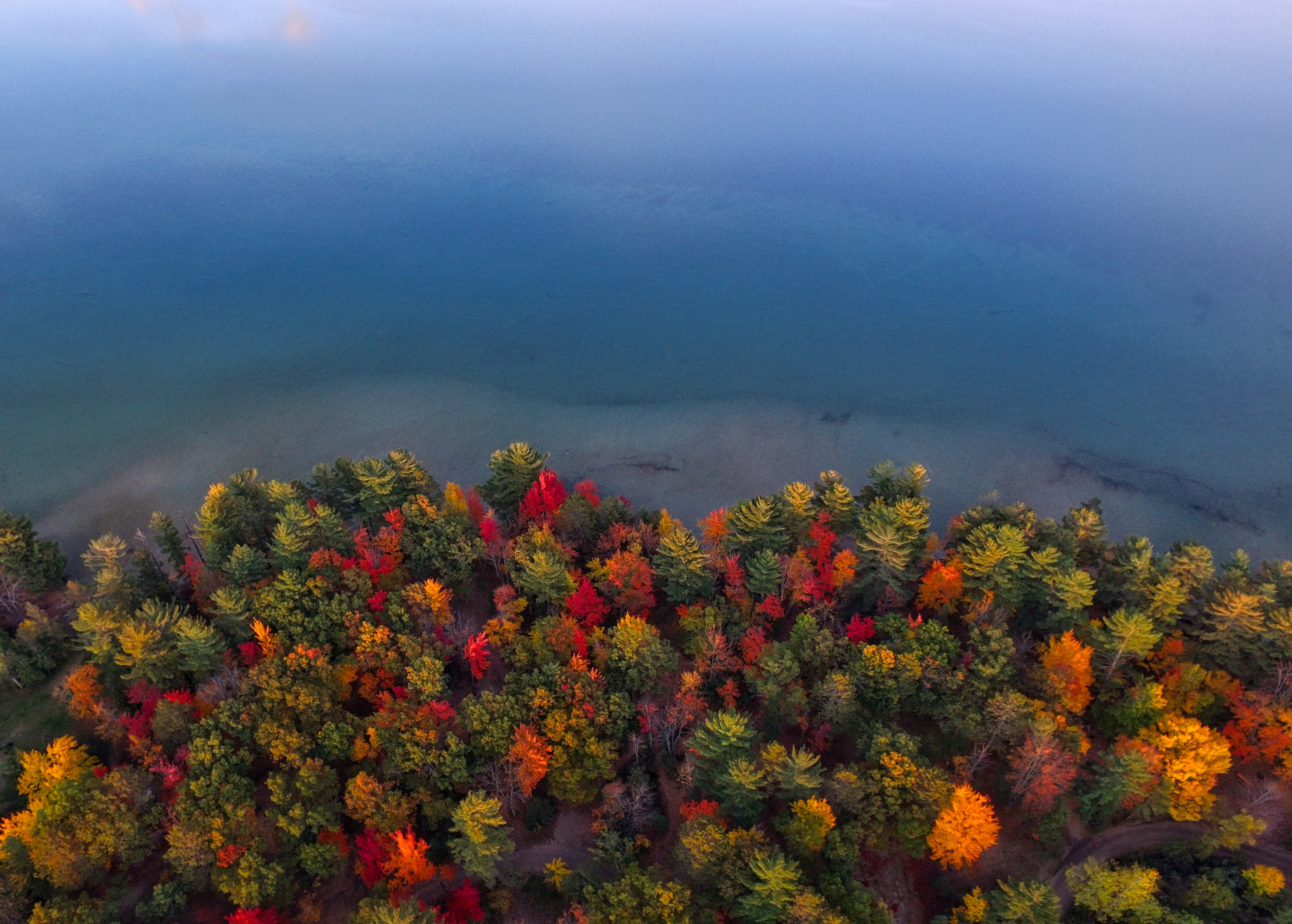 autumn colored trees on the shore of a lake in grayling michigan, colorful trees near a lake 4k, HD Wallpaper