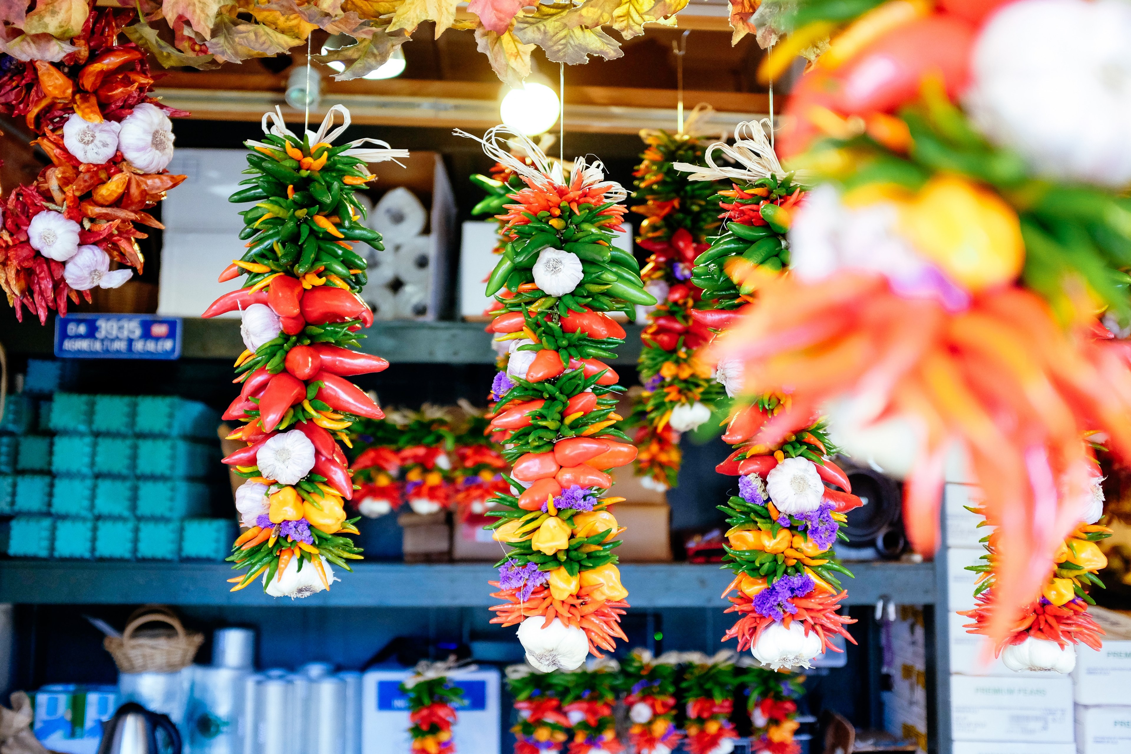 dried colorful chili peppers garlic and herbs hanging at a farmers market, decorative vegetables 4k, HD Wallpaper