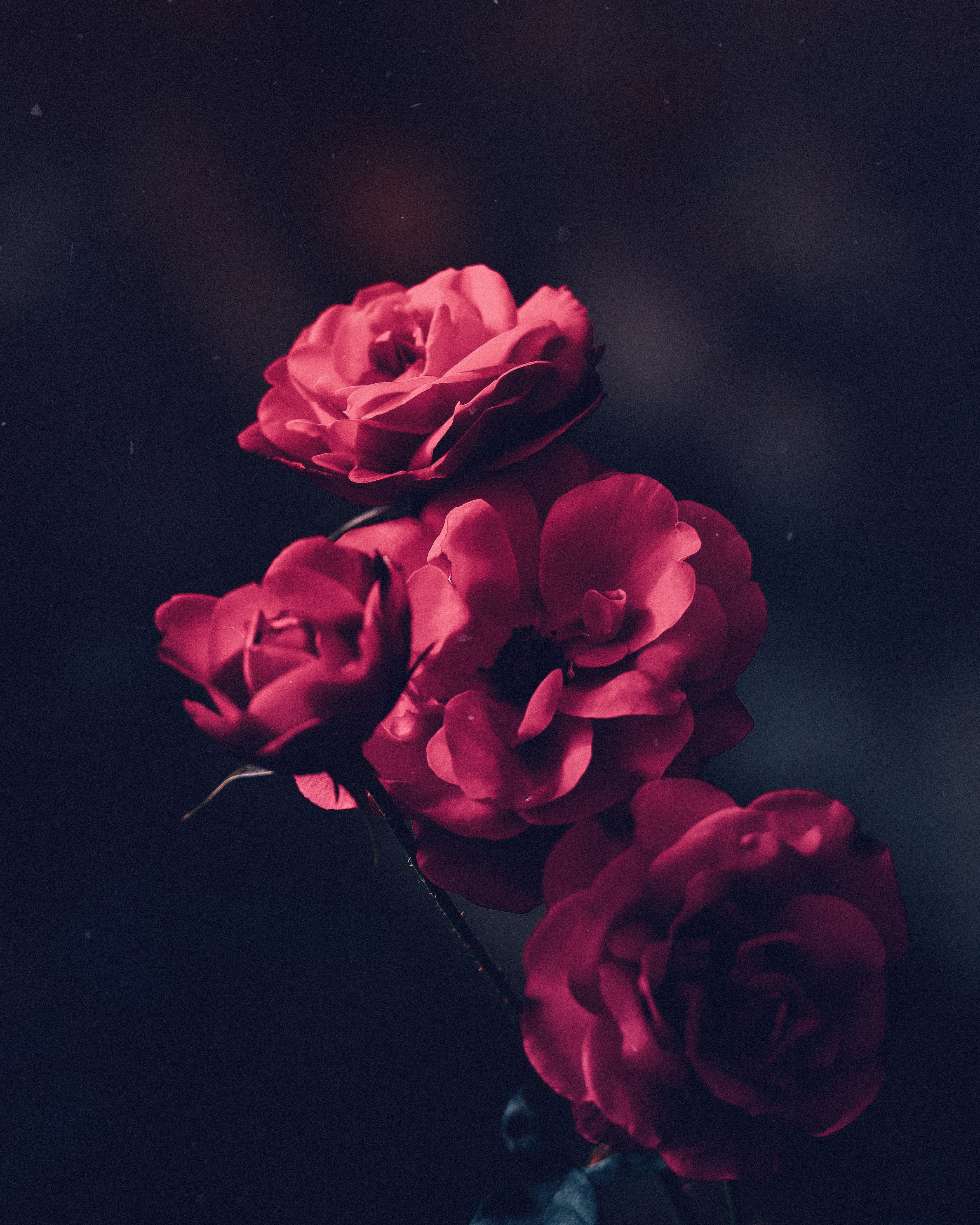 farewell darkness 4k, Phone HD Wallpaper