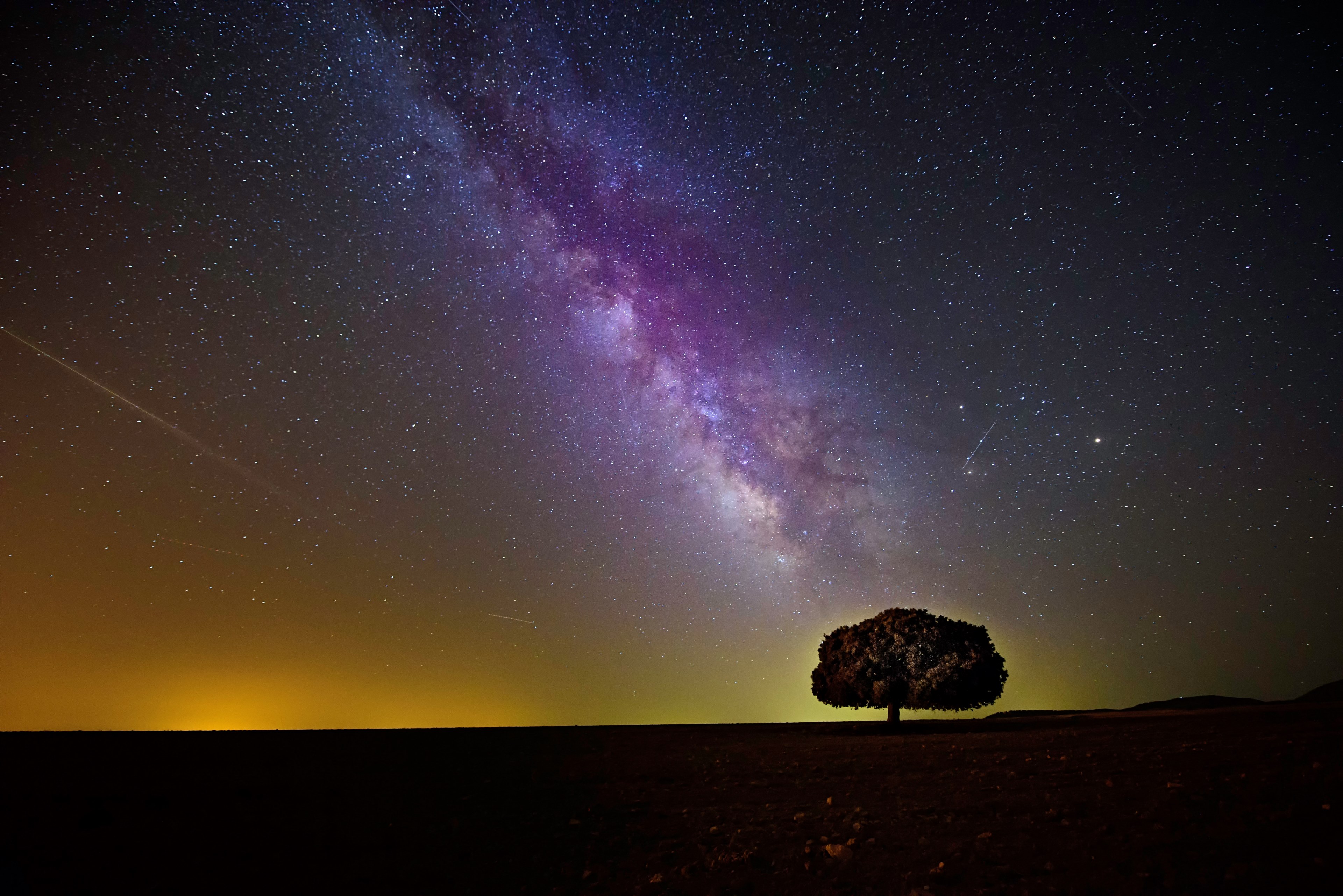 colorful sky with shooting stars and the milky way over a tree in murcia, milky way stars murcia 4k, HD Wallpaper