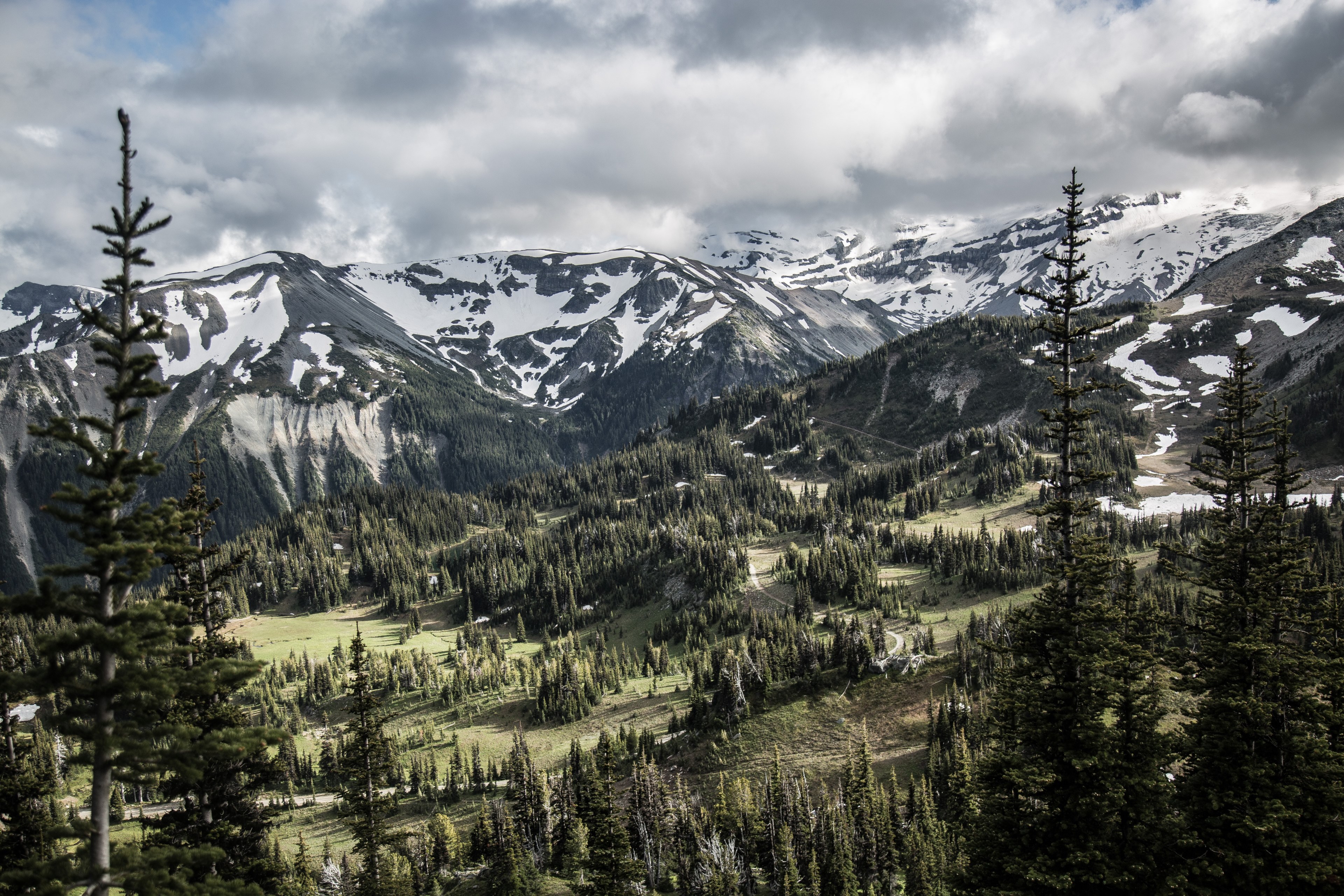 evergreen trees scattered across hills near snow covered mountains, wood for the trees 4k, HD Wallpaper