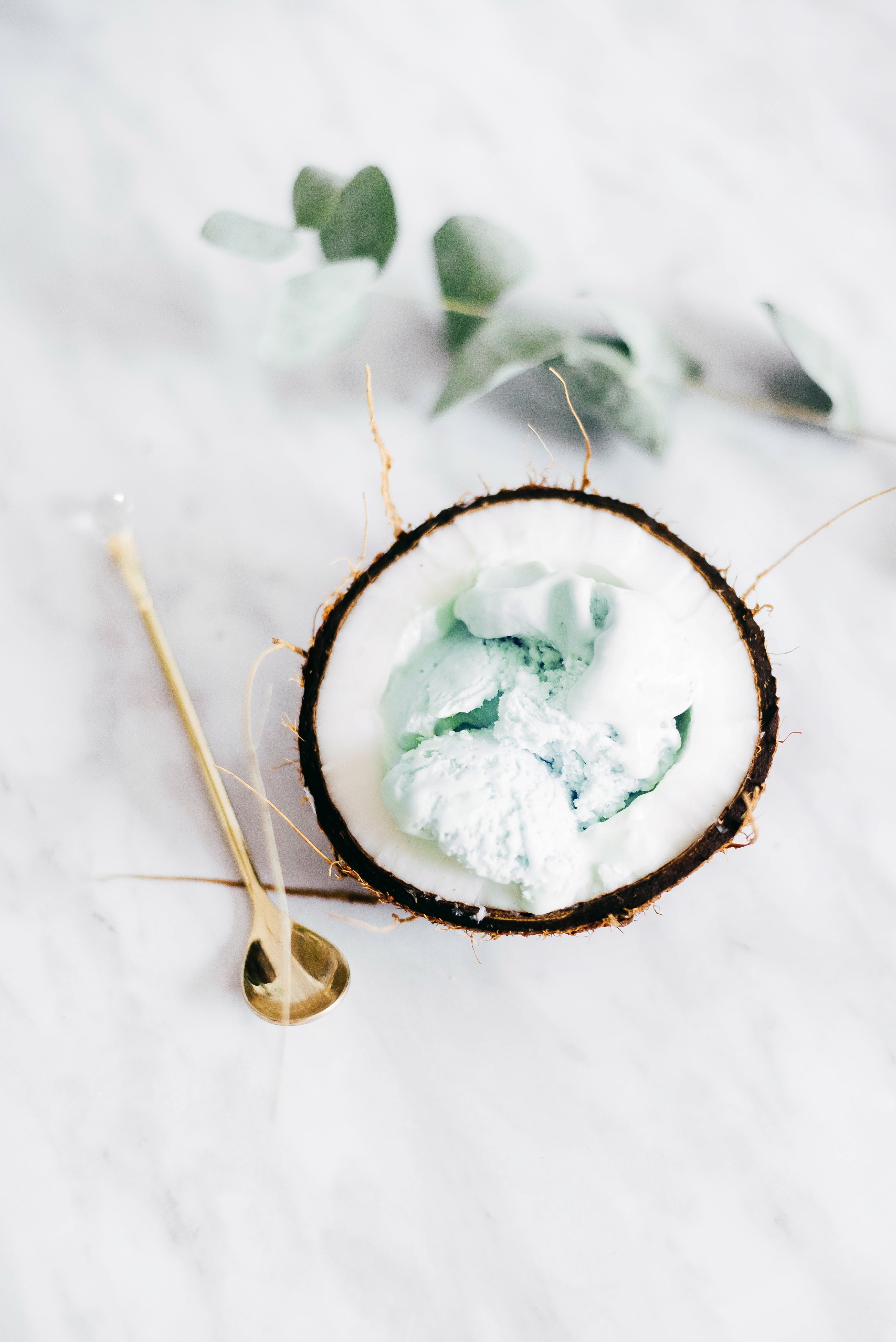 coconut 4k, Phone HD Wallpaper