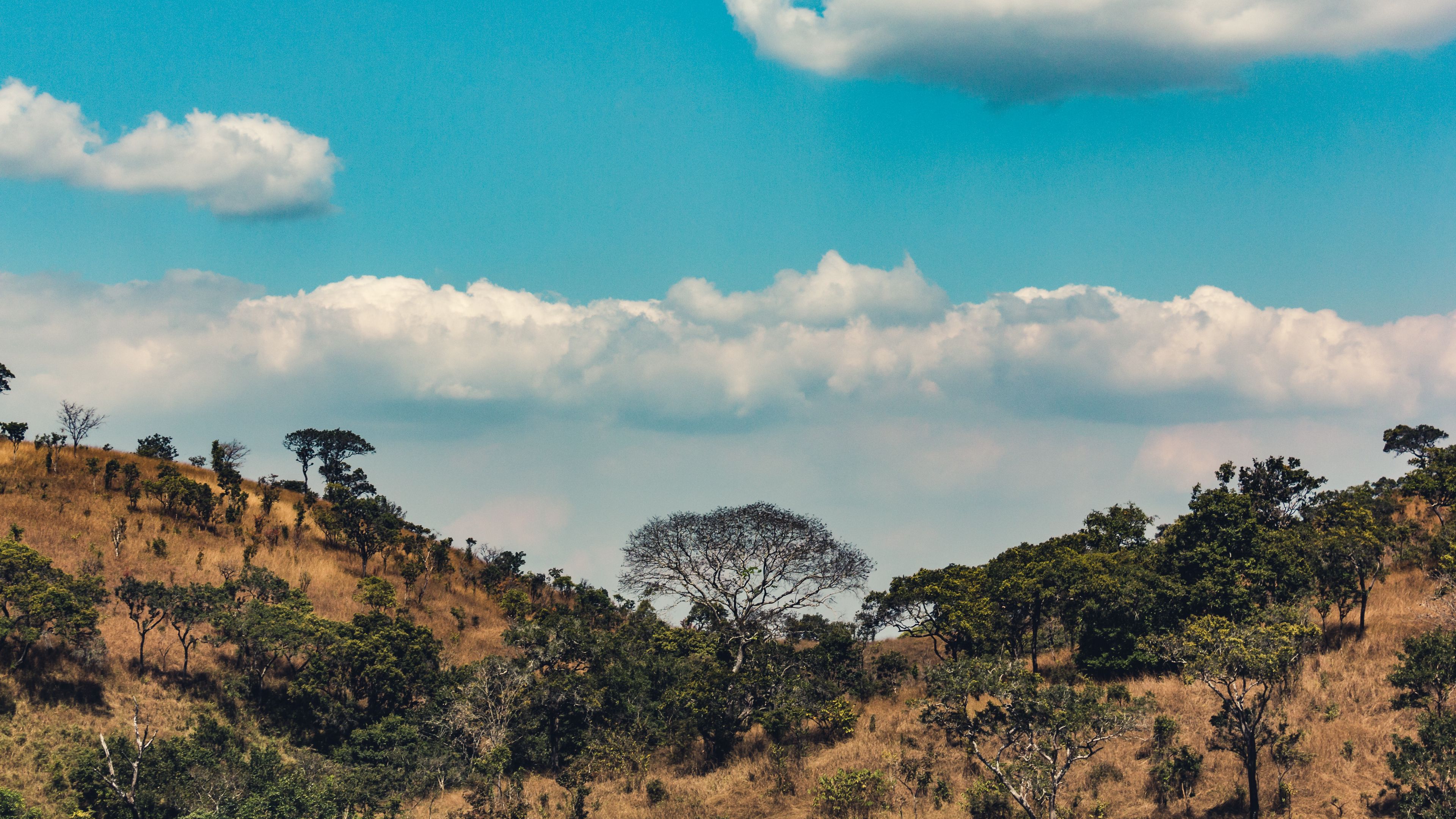 africa, hills, trees, clouds, 4k, HD Wallpaper