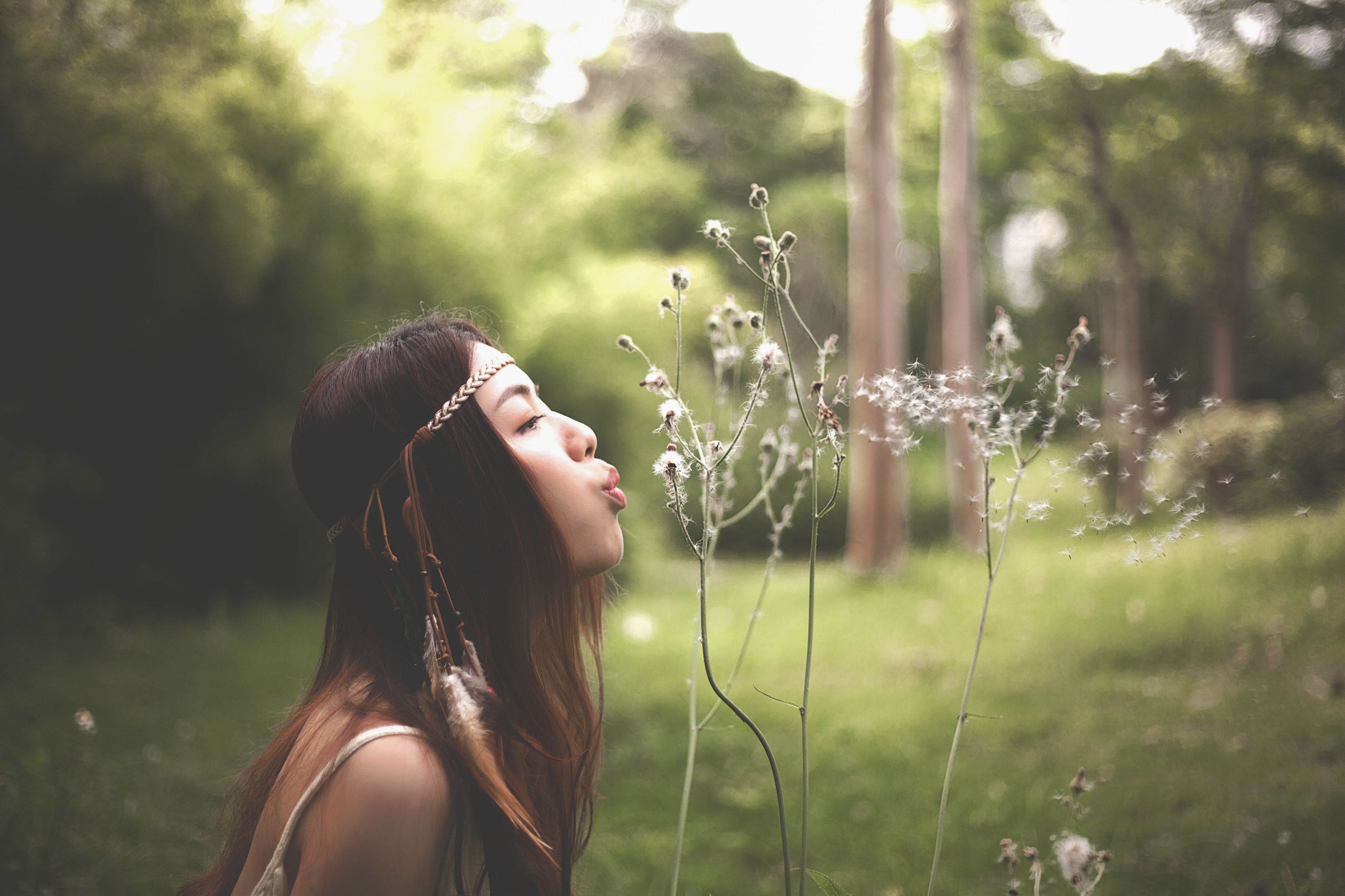 a young woman blowing on dandelion seed heads, blowing the seeds off 4k, HD Wallpaper