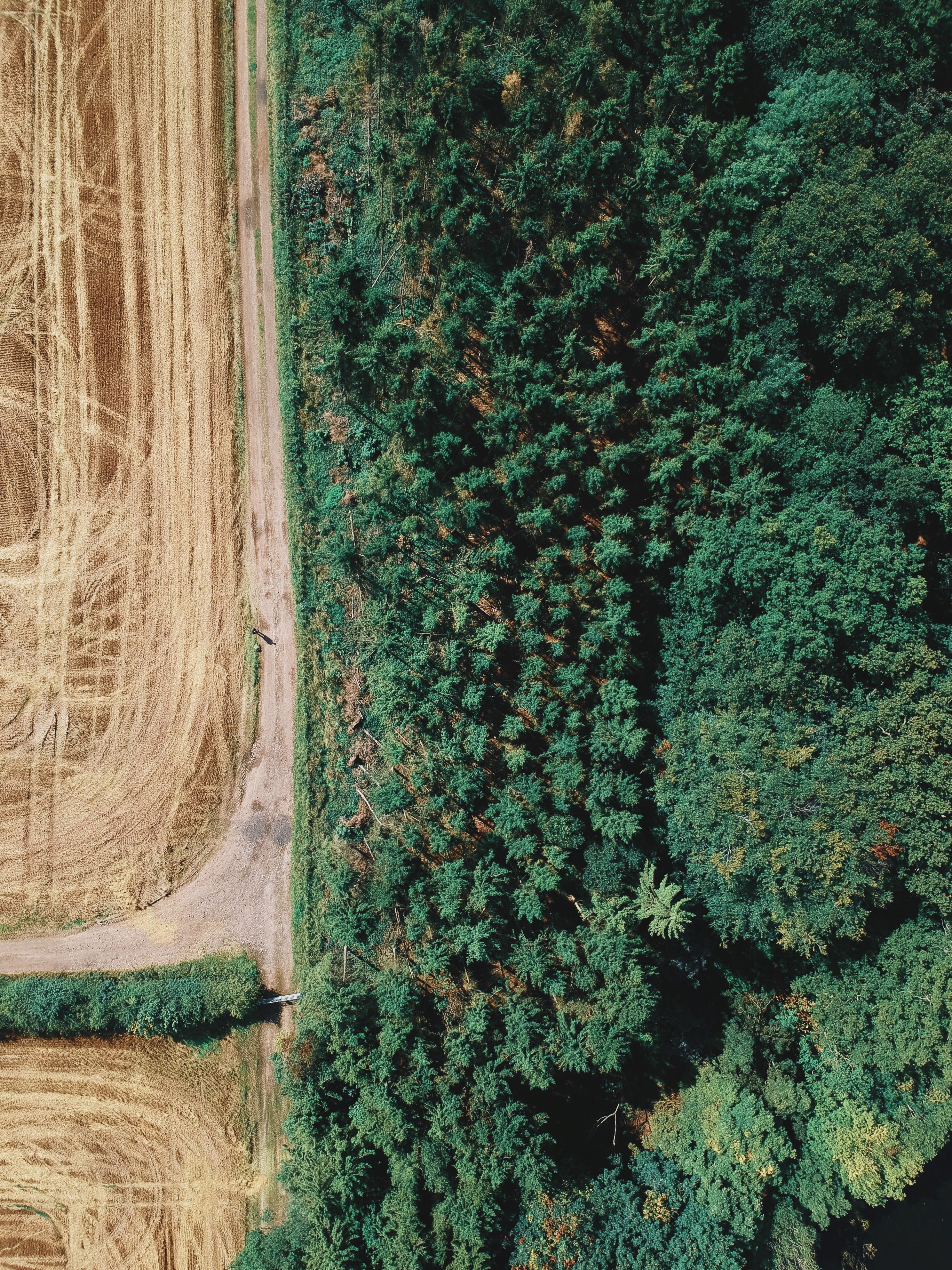aerial countryside aerial view and field hd, 4k, Phone HD Wallpaper