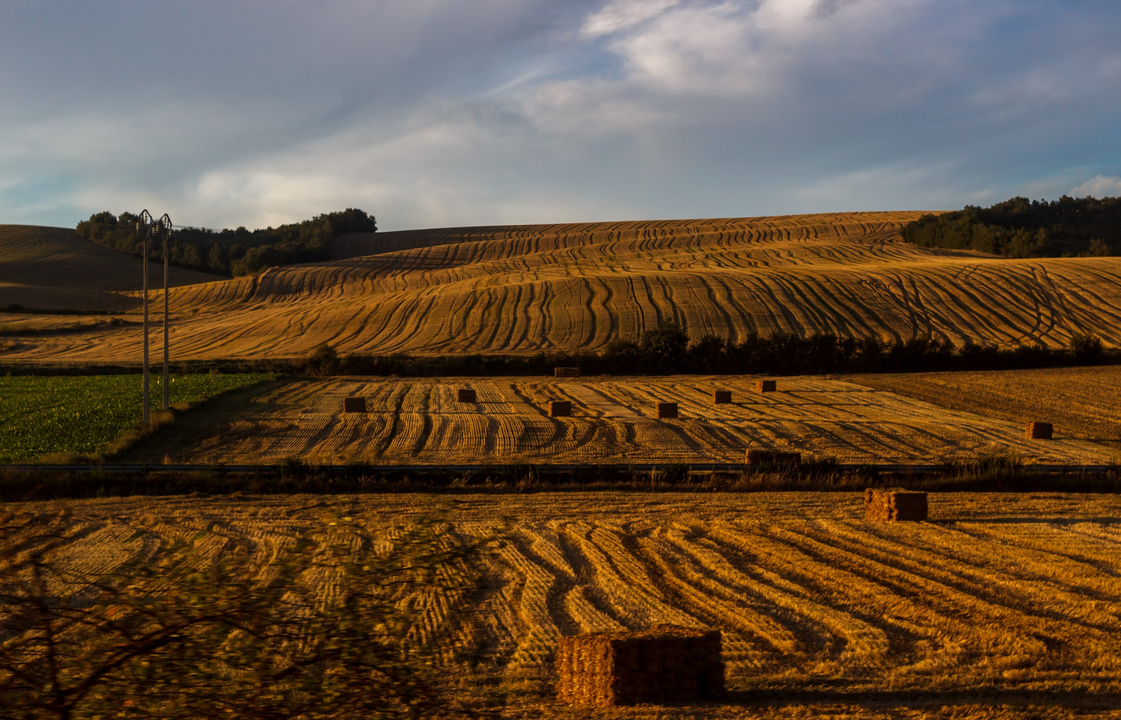 wavy lines of crop in a farm field in basque country, fields in the basque country 4k, HD Wallpaper