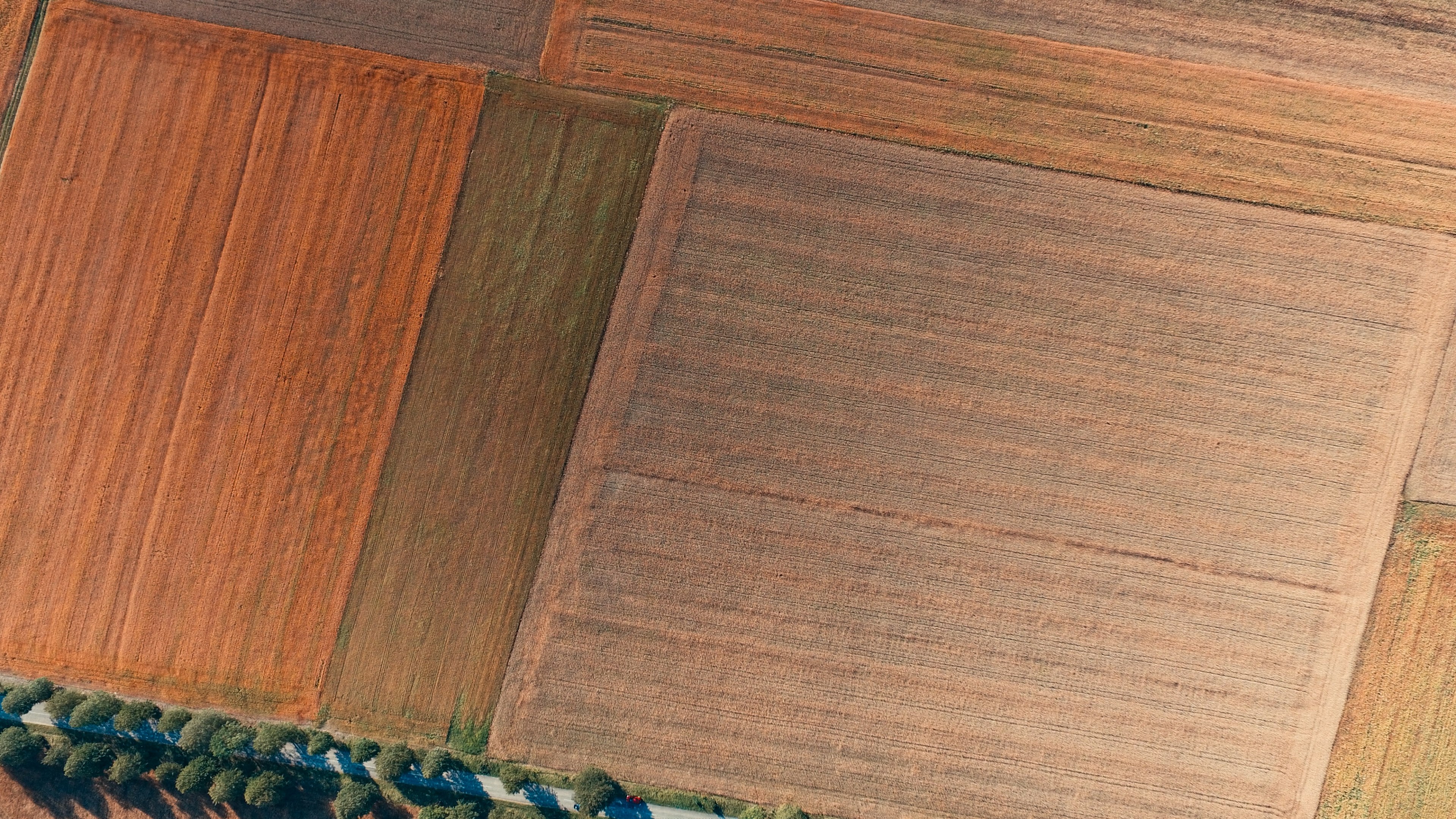 lines everywhere 4k, HD Wallpaper