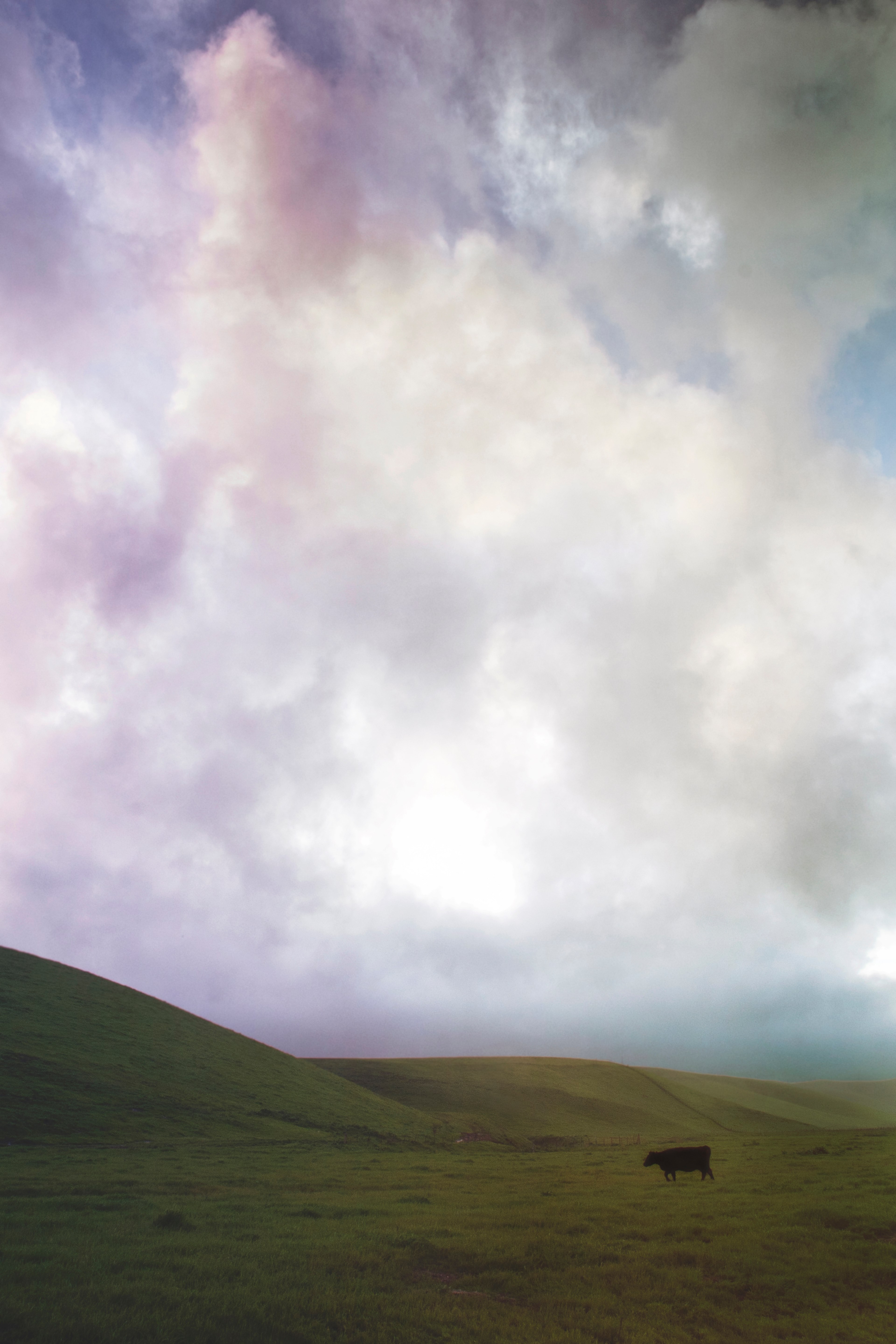 hills 4k, Phone HD Wallpaper