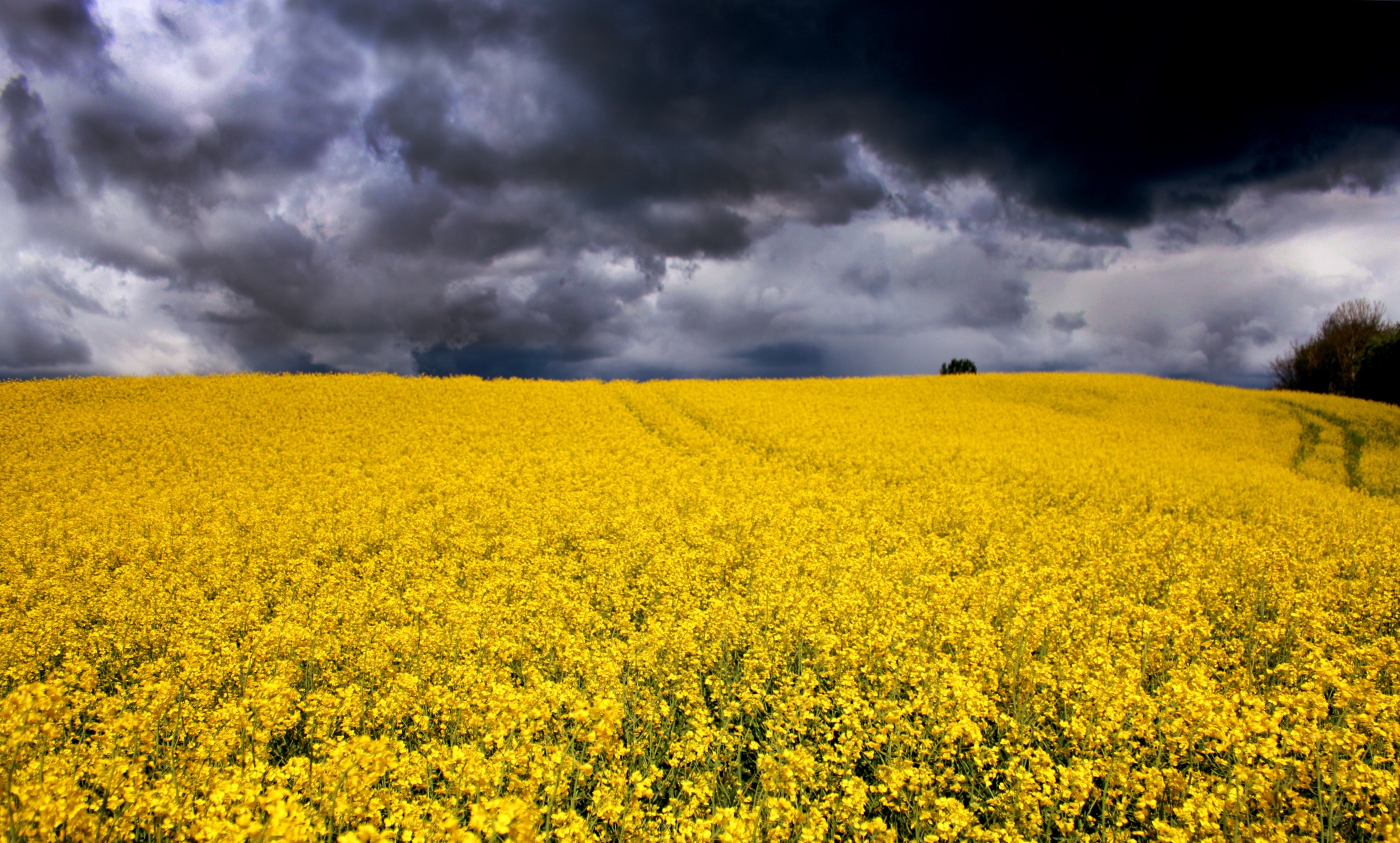 after rain comes sunshine 4k, HD Wallpaper