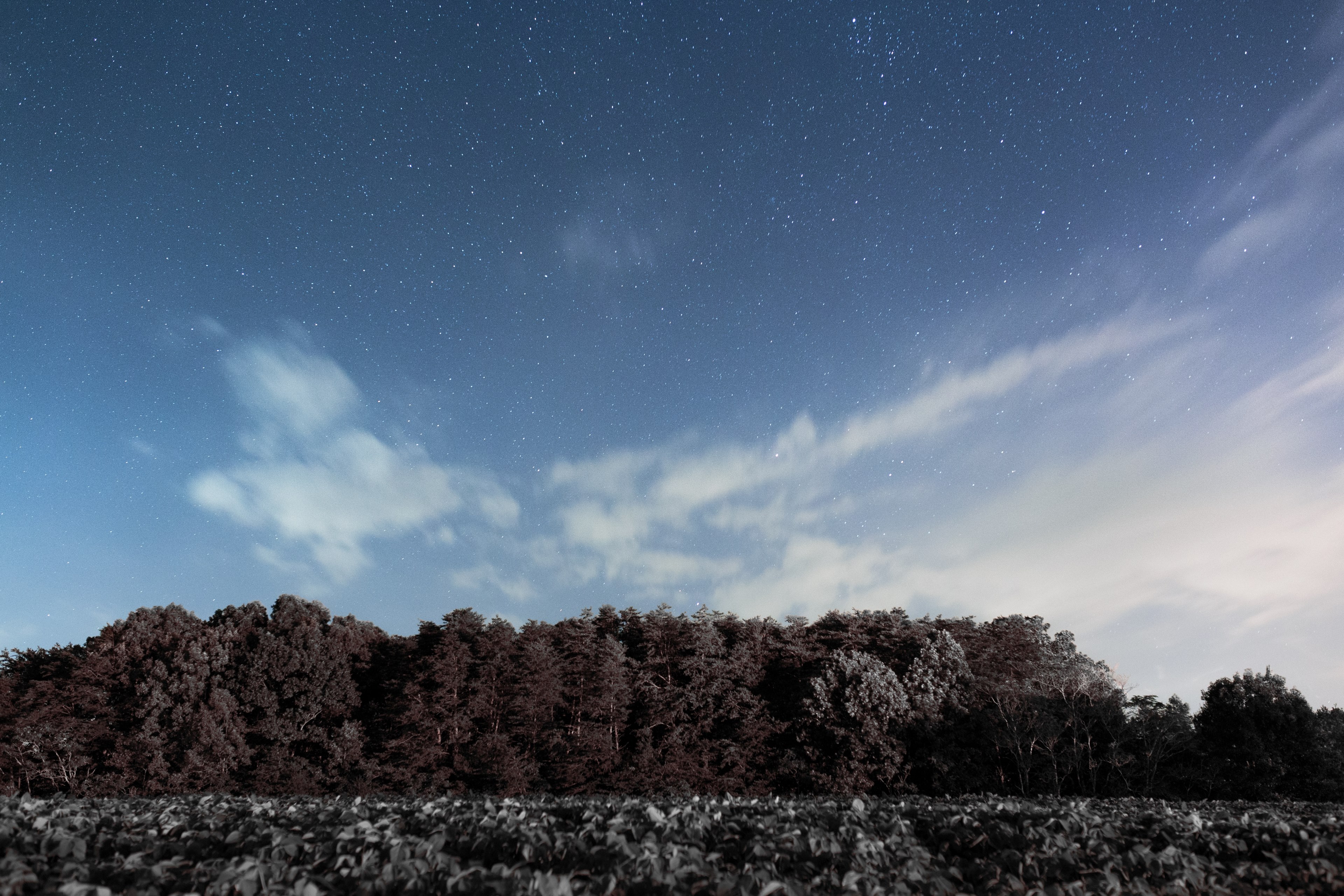 clouds on a starry sky over a treeline in hanging rock state park, stars behind the clouds 4k, HD Wallpaper