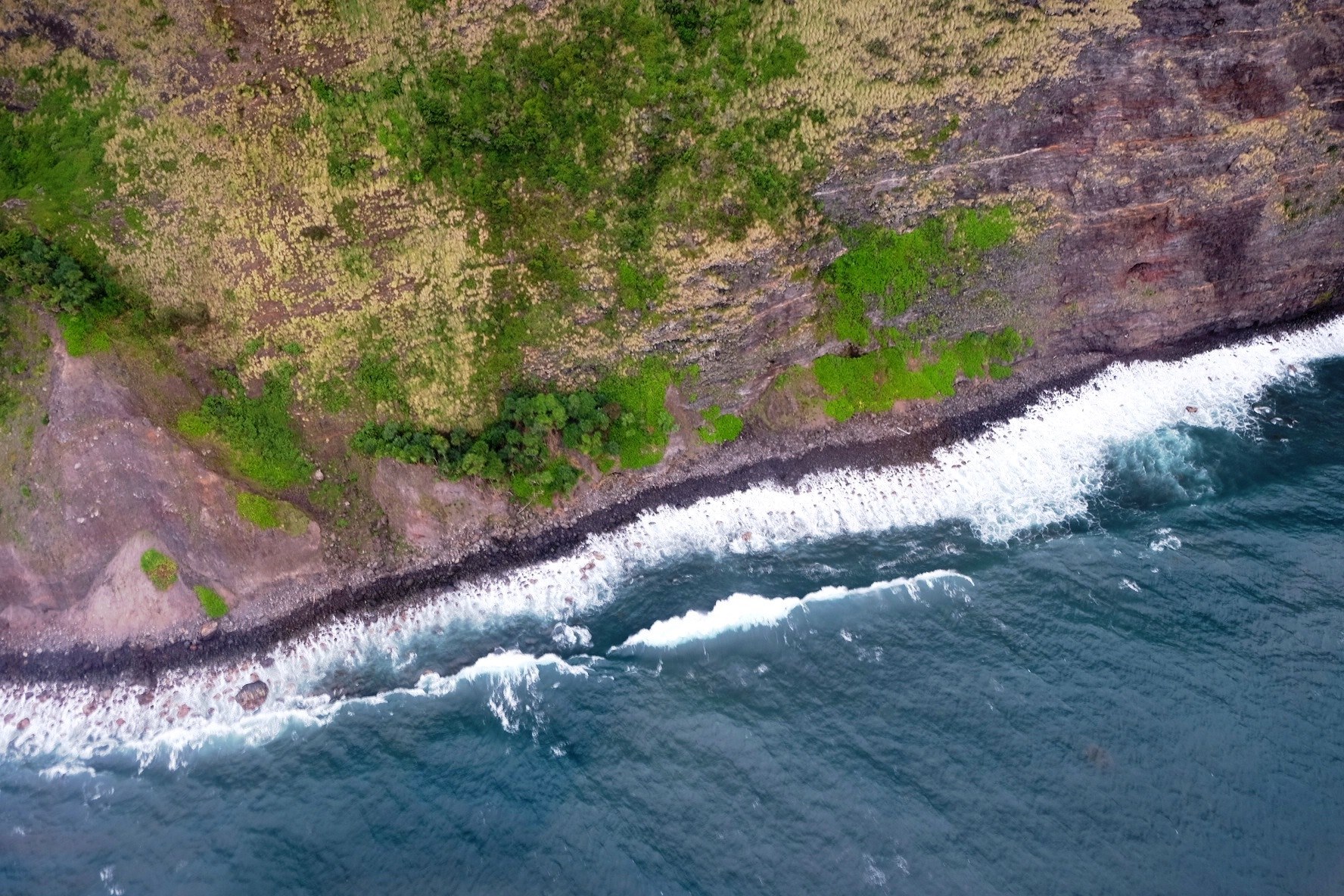 a drone view of a coastal landscape of trees and water, coastal drone view 4k, HD Wallpaper
