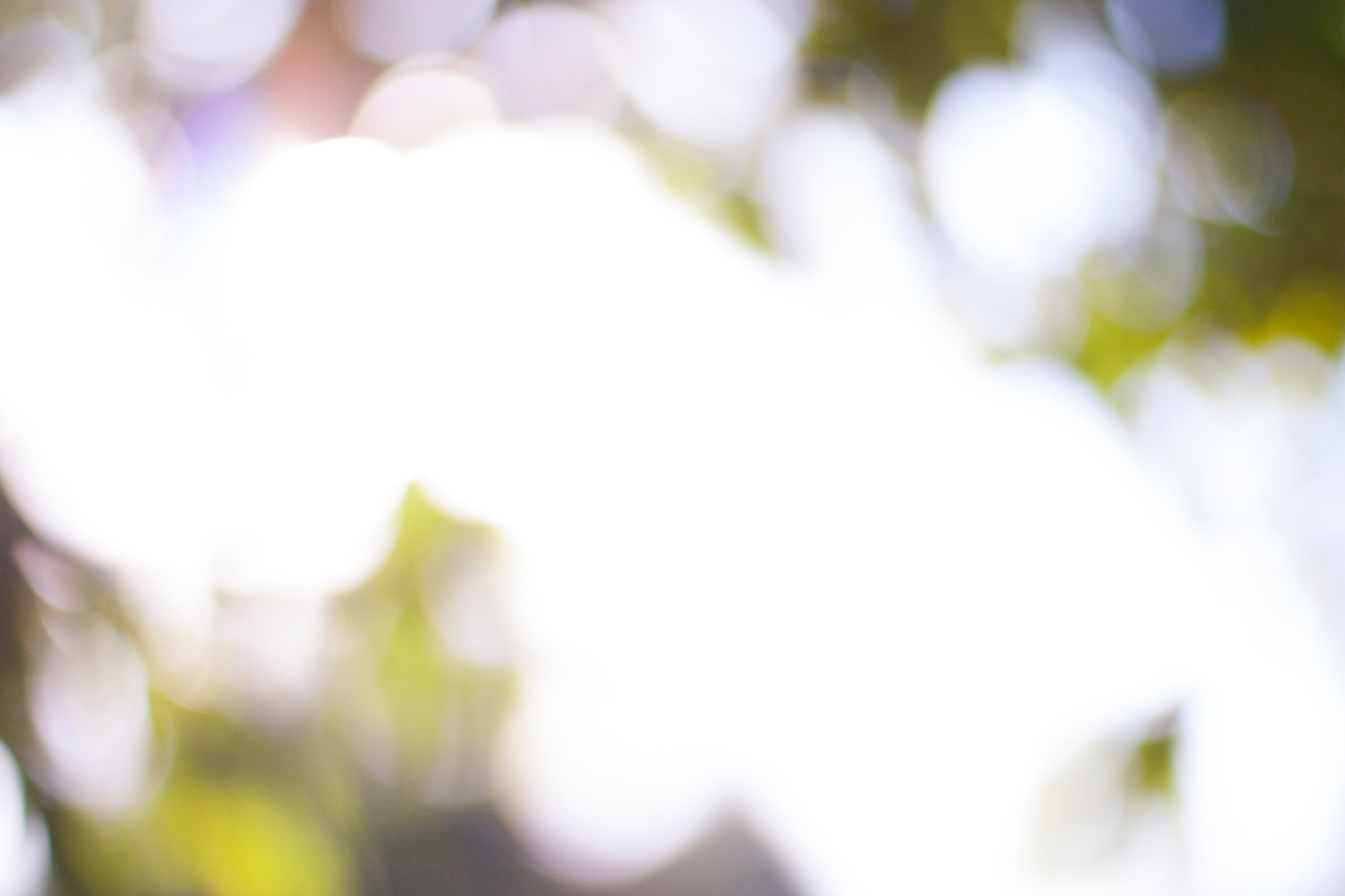 abstract light bokeh and out of focu 4k, HD Wallpaper