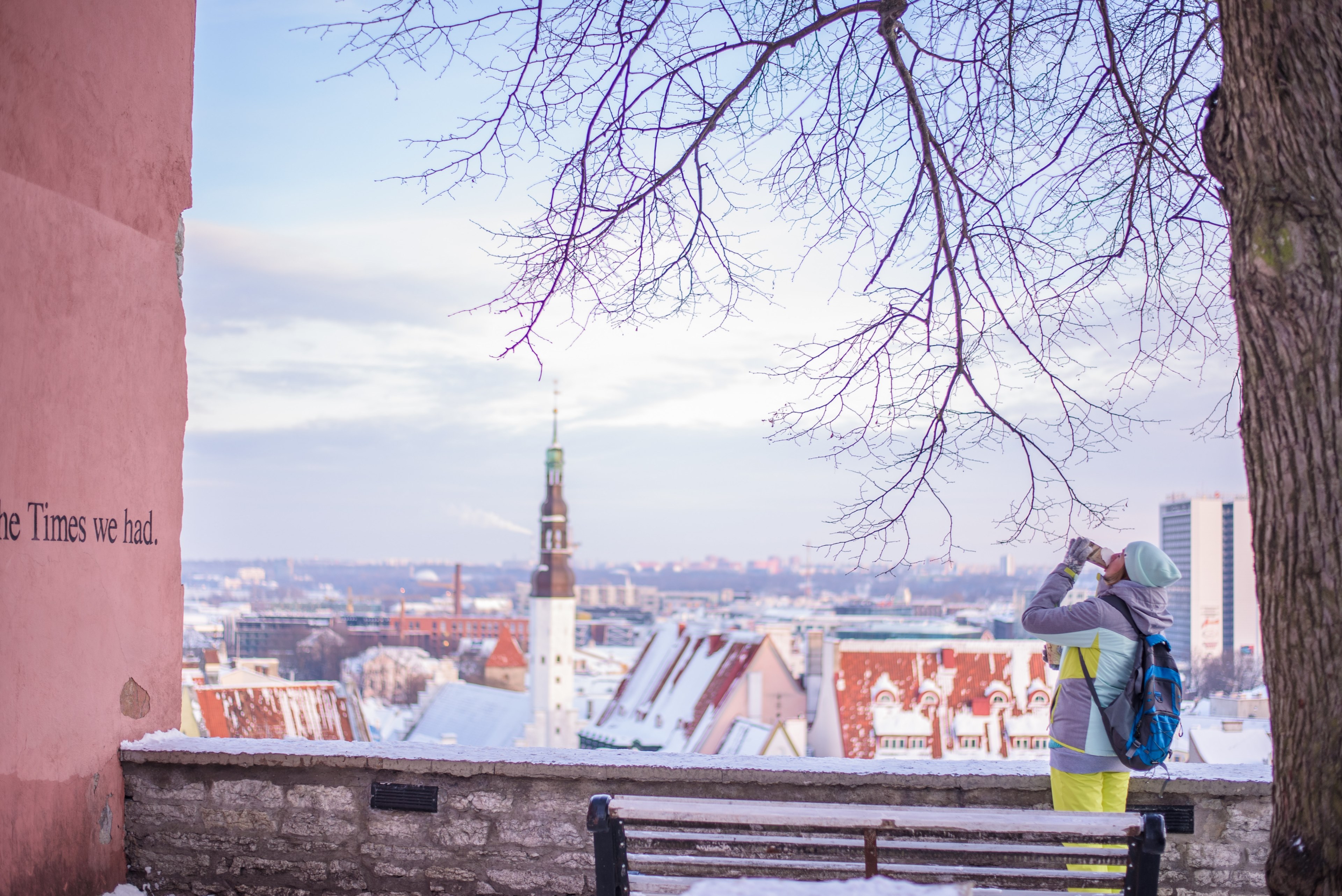 a view of the old town in tallinn with a female backpacker near the ledge, backpacker over tallinns old town 4k, HD Wallpaper