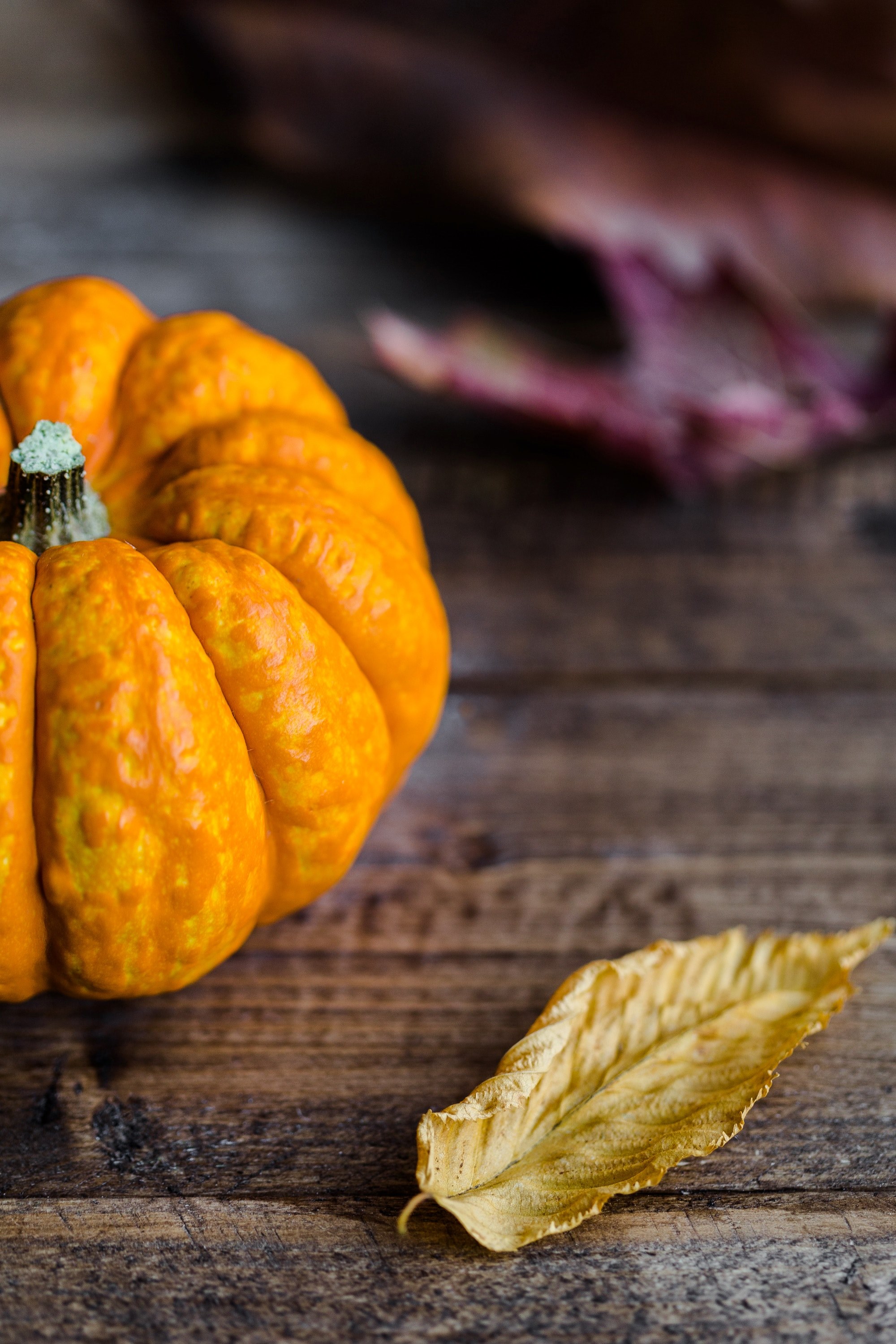 a macro view of a pumpkin with stem and a leaf in the autumn season, small pumpkin on table 4k, Phone HD Wallpaper