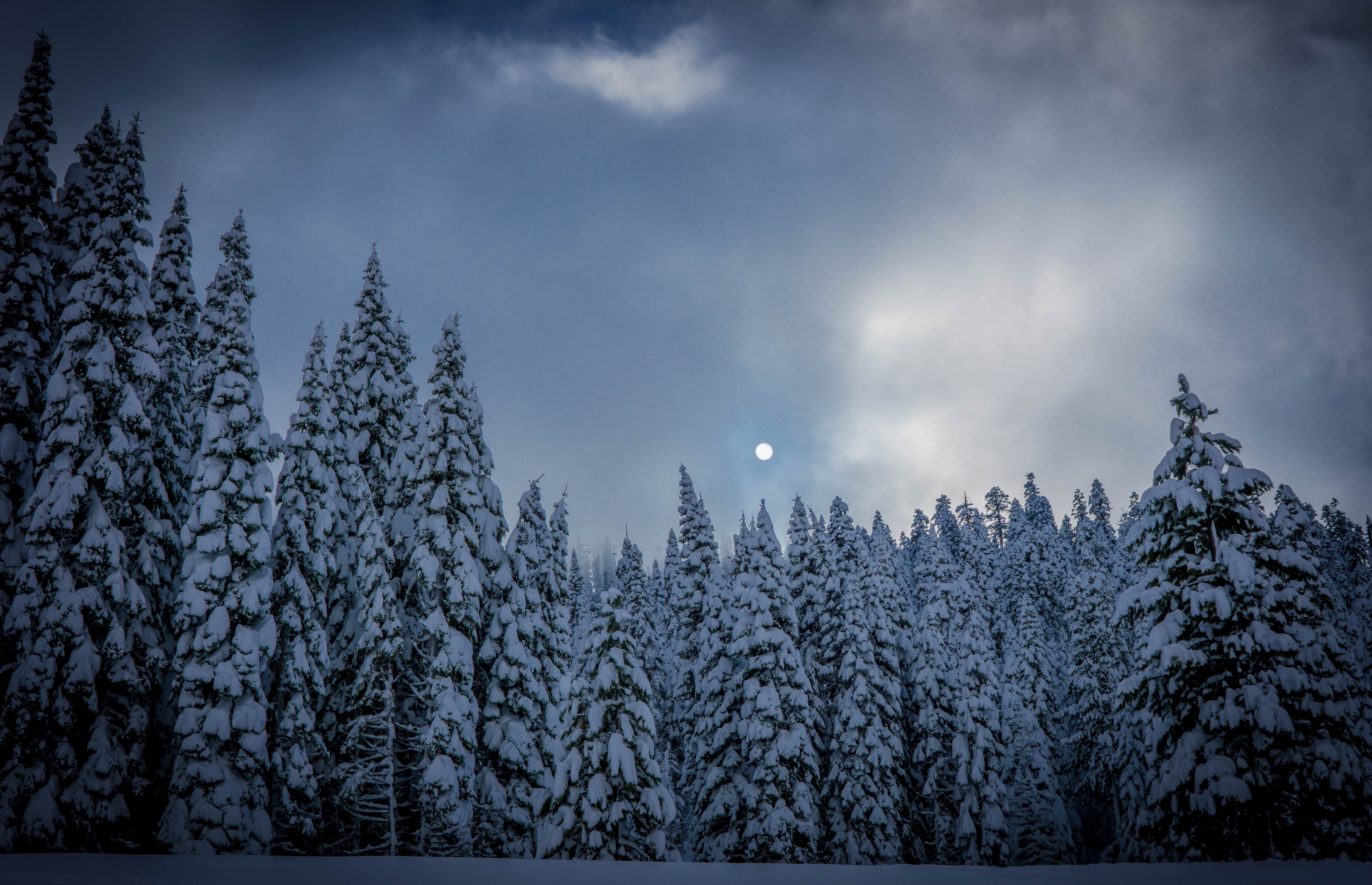 a darkened picture of the forest at squaw valley resort with dark clouds in the sky, natures moon 4k, HD Wallpaper