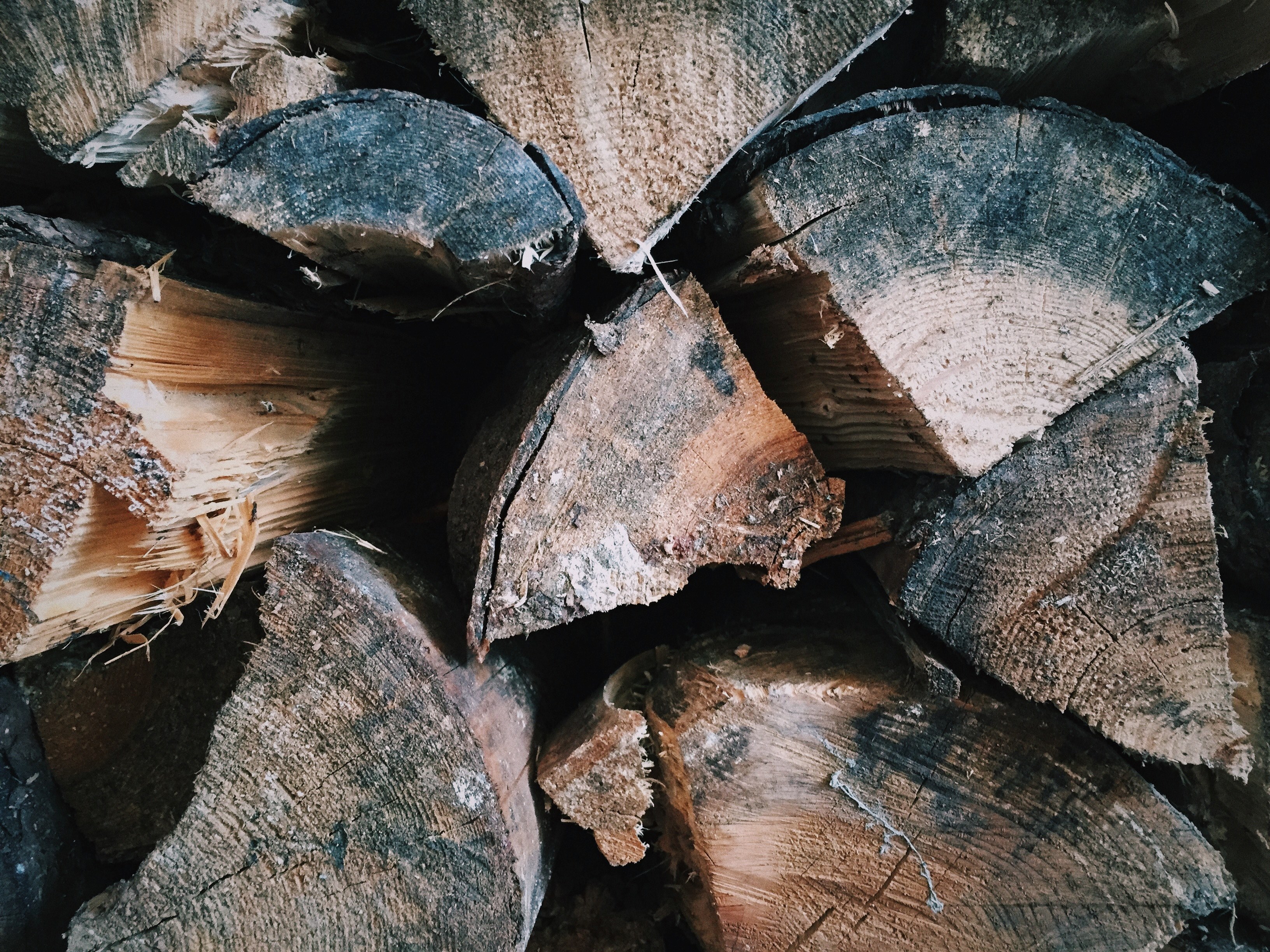 wood pile wood forest and tree 4k, HD Wallpaper