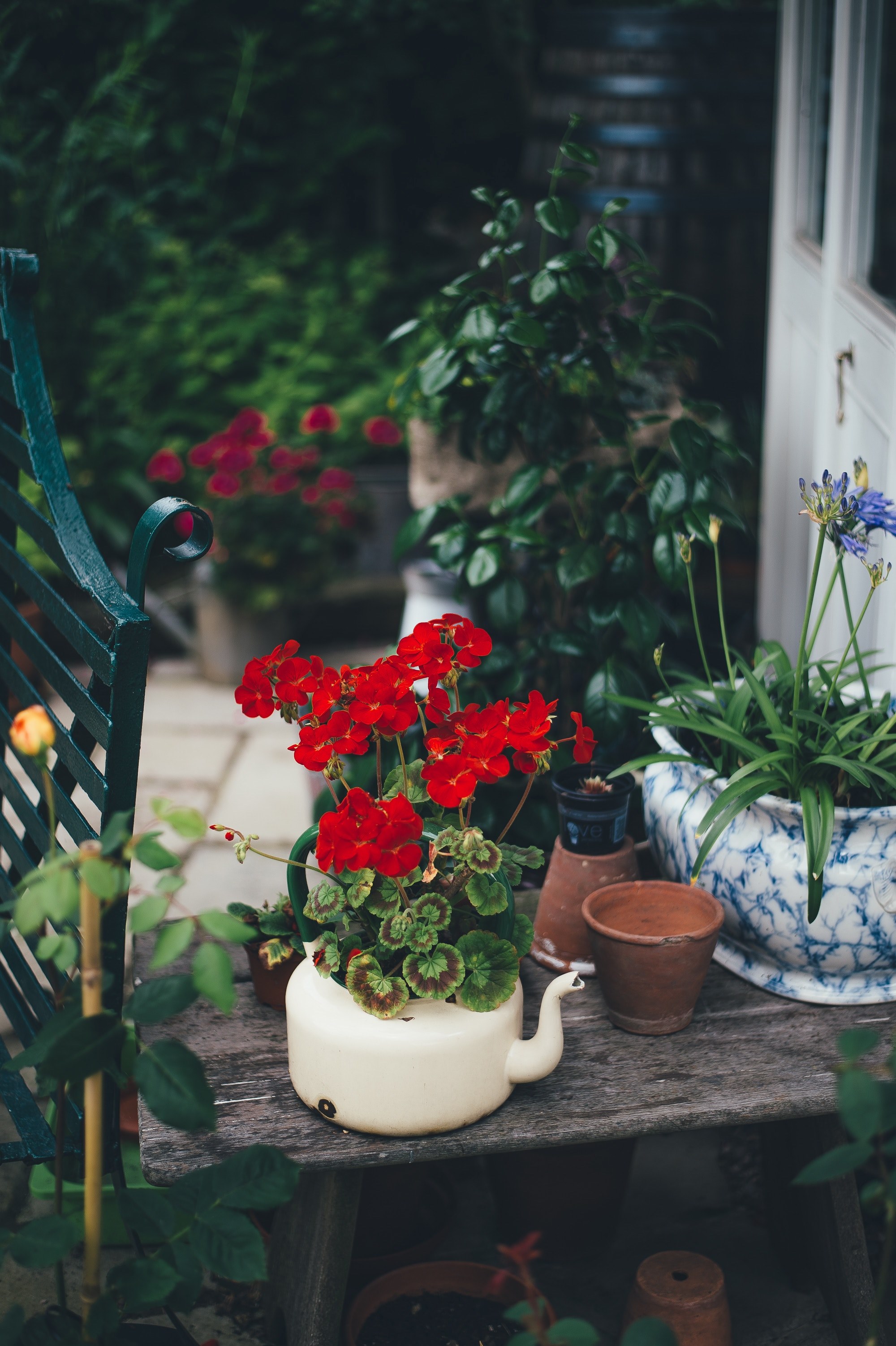 flowers and plants in vintage pots on a front porch, garden on the stoop 4k, Phone HD Wallpaper