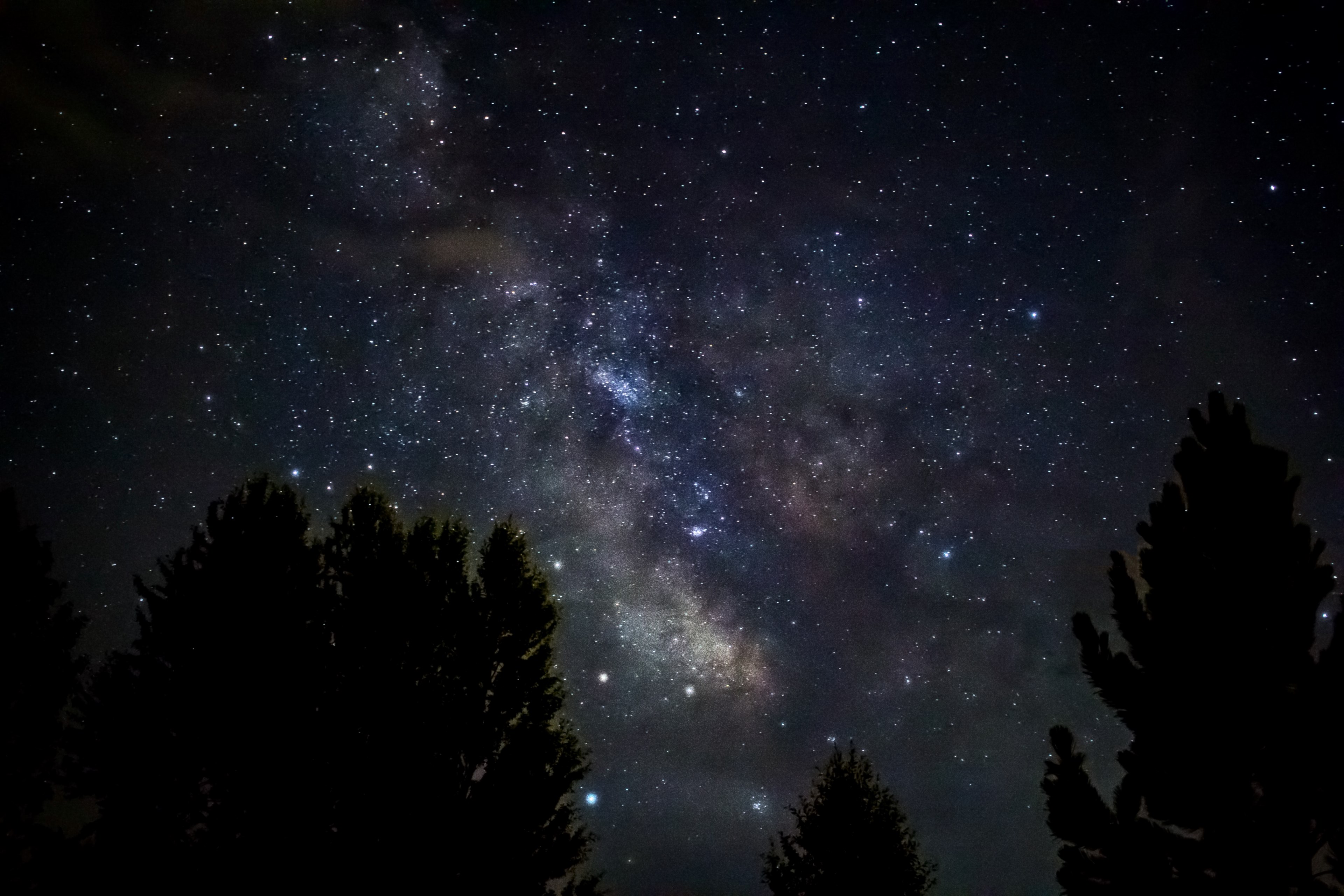 the nebula above the silhouette of trees as seen in edwards, _nebula silhouette tree edwards 4k, HD Wallpaper
