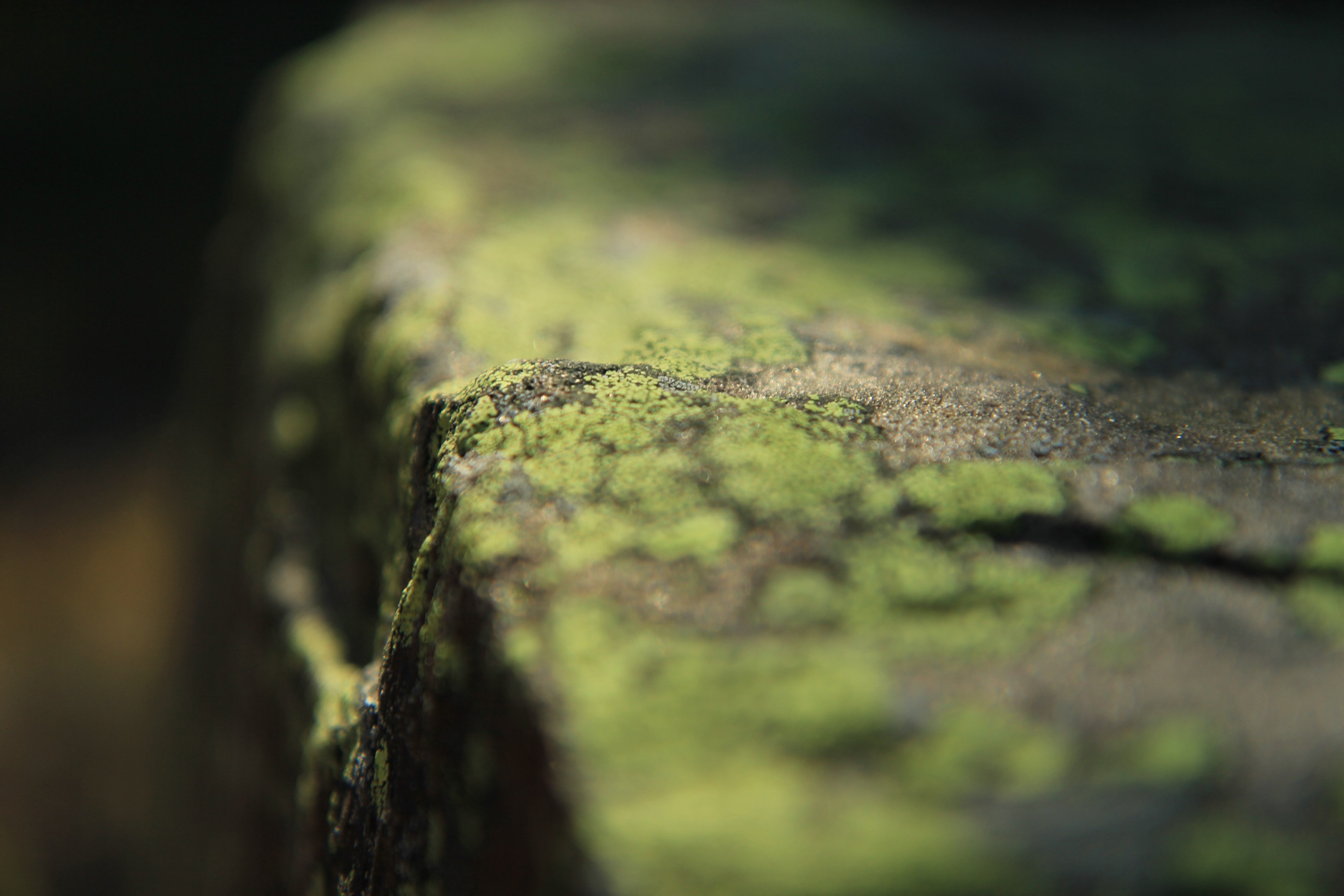 rock nature focu and focal length 4k, HD Wallpaper