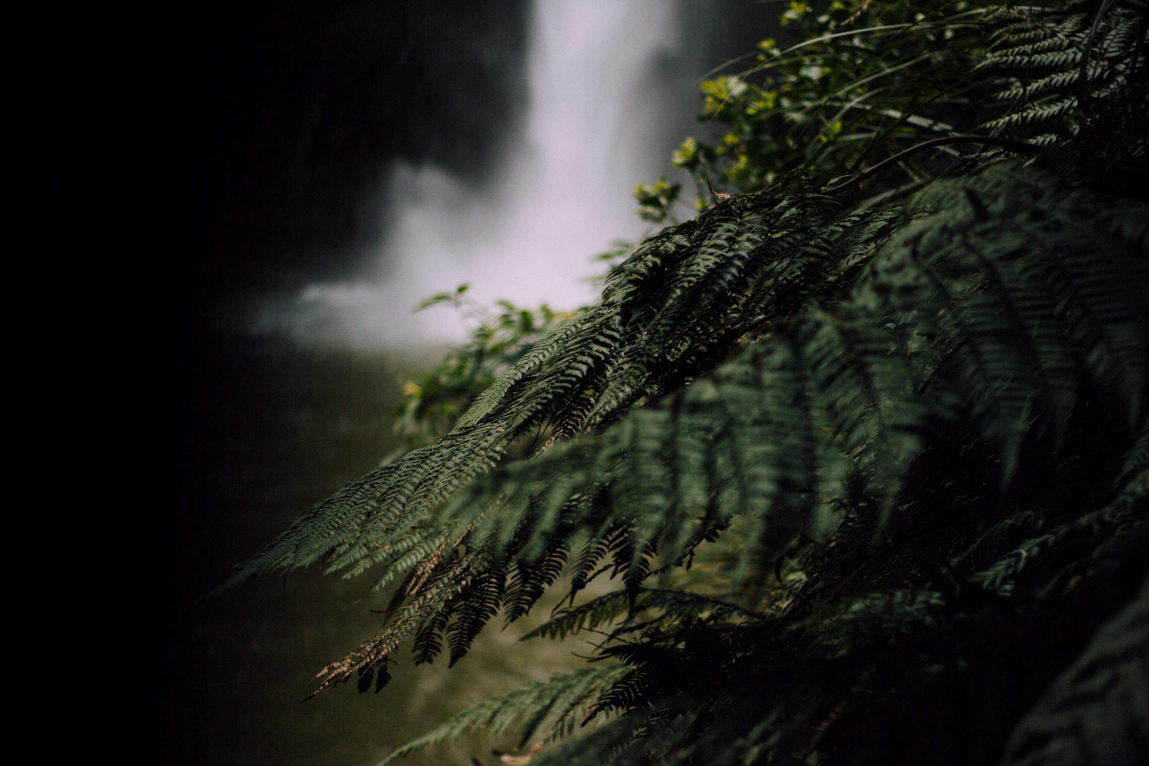 moody mood beautiful and walk 4k, HD Wallpaper