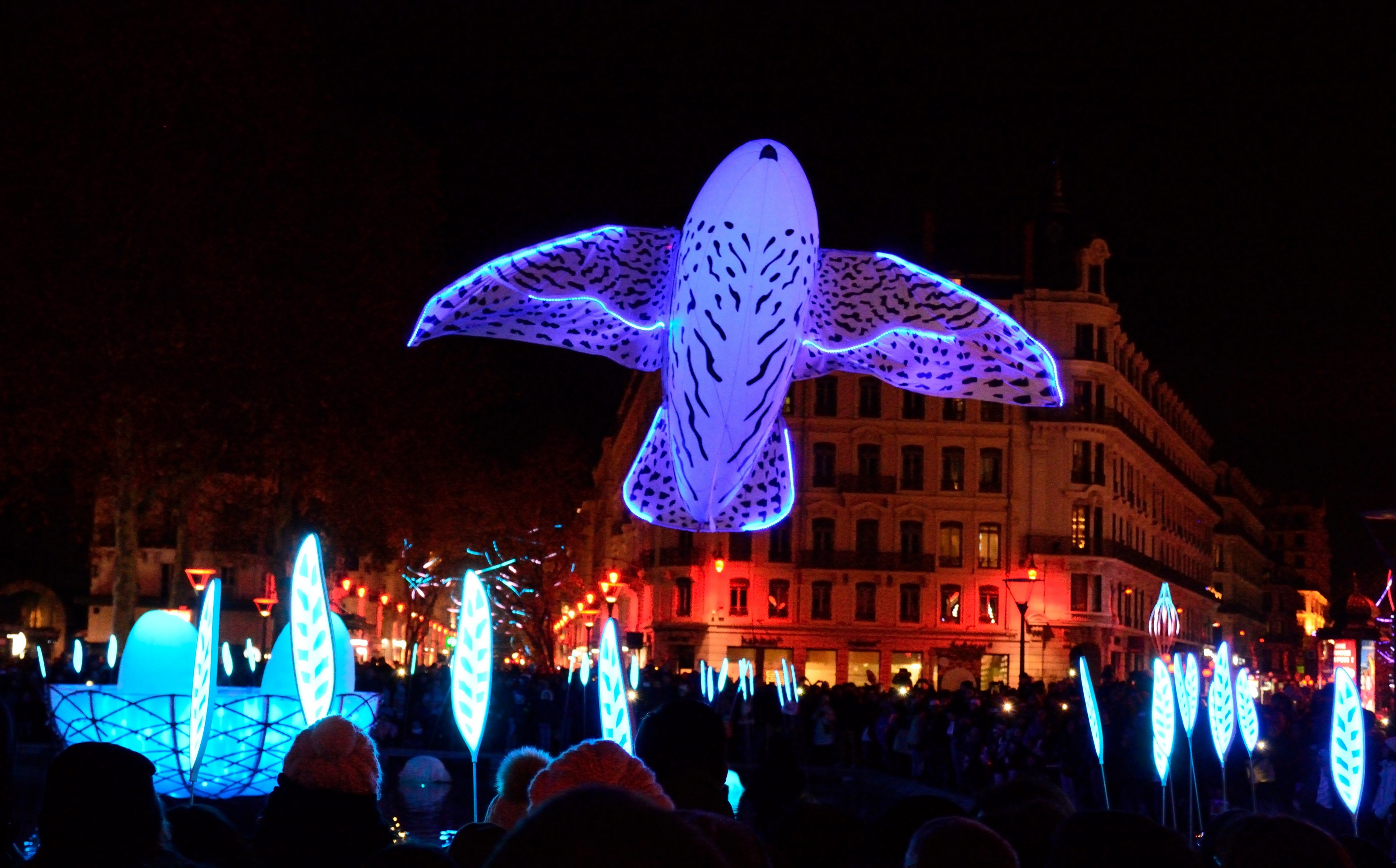 lyon light festival 2017 4k, HD Wallpaper
