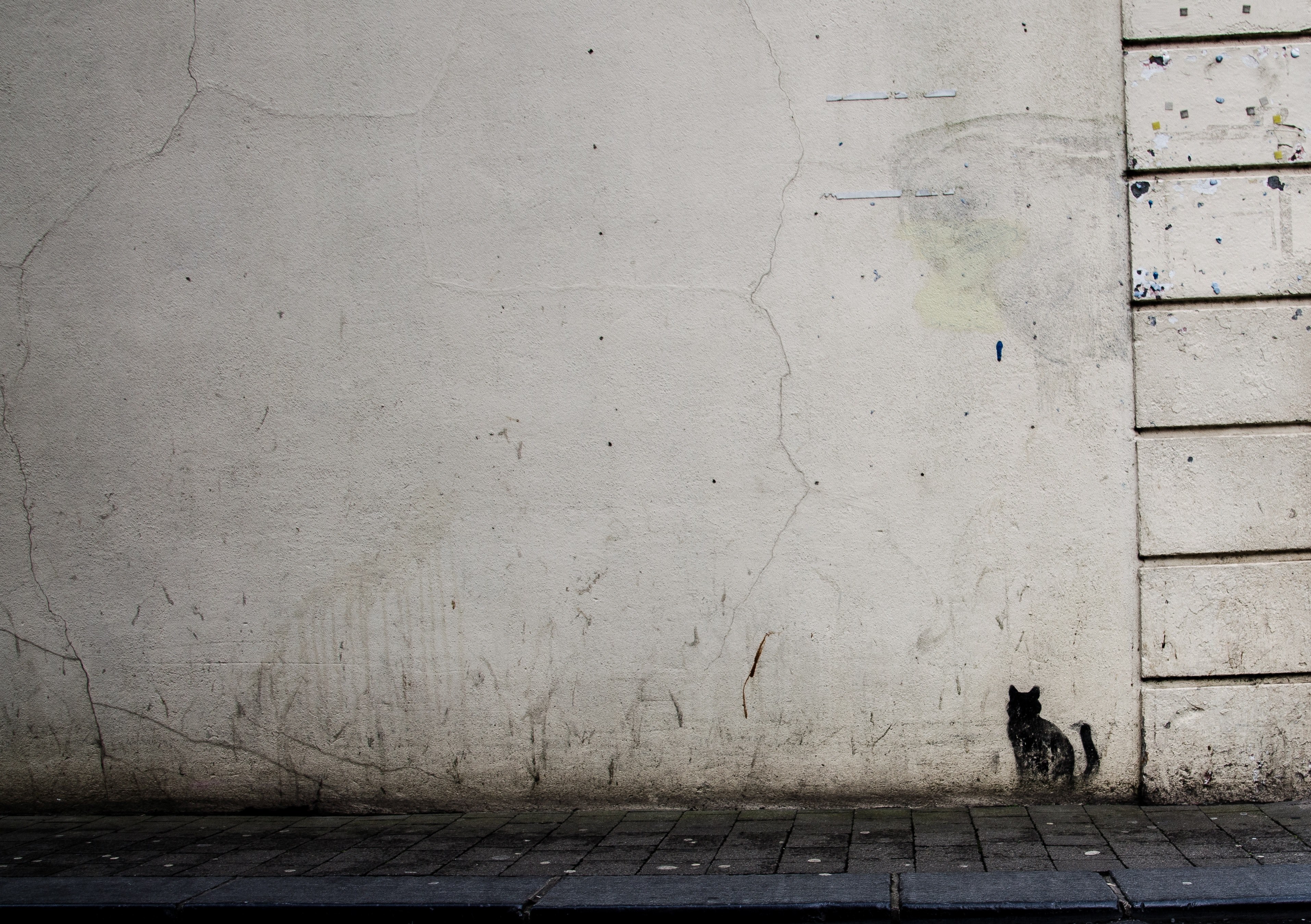 textured grungy white wall with mini black cat graffiti artwork in kilkenny, black cats for good luck 4k, HD Wallpaper